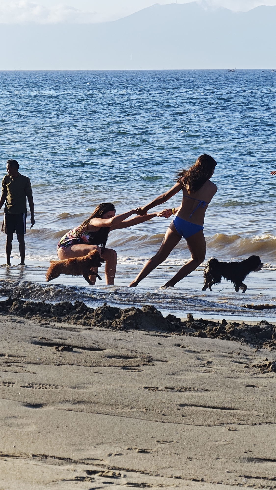 The photograph captures a beach scene in Đà Nẵng, Vietnam. In the foreground, two women are engaged in a playful tug-of-war in the shallow water, with a small brown dog running nearby, and a small black dog runs past. One woman is wearing a floral swimsuit, and the other is wearing a blue bikini. To the left, a man in dark attire stands at the water's edge. The background features the ocean and a mountain range in the distance. The beach is sandy with some small mounds of sand in the foreground.
