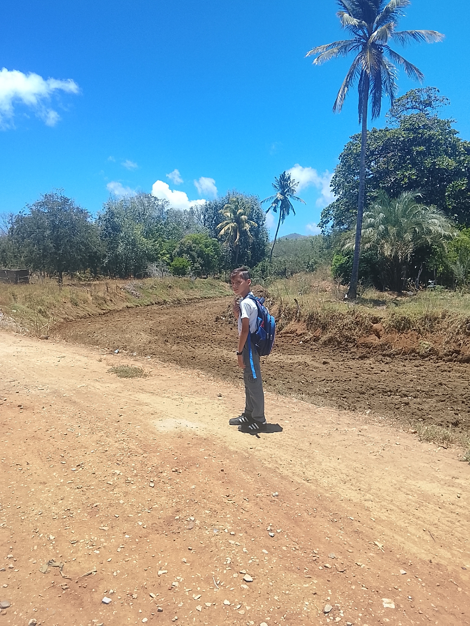 A young boy stands on a wide, unpaved reddish-brown dirt road under a bright blue sky, looking back at the camera. He wears a white short-sleeved shirt, dark grey or black cargo pants, and black sneakers with white stripes, carrying a blue and black backpack. His expression is calm and he seems to be in his pre-teen years.
The scene depicts a rural or semi-rural environment, likely in Altagracia, Venezuela. The road, covered with small rocks and pebbles, extends into the midground. To the right of the road, there's a lower expanse of dark, disturbed earth, possibly a dry riverbed or a tilled area, bordered by sparse dry grass. The background is lush with green vegetation, featuring numerous trees, including prominent tall palm trees with green fronds. Distant hills or mountains are faintly visible through the foliage.
The sky is a vibrant blue with scattered white, cumulus clouds. The strong, direct sunlight suggests it is midday or early afternoon, casting distinct shadows. The overall setting implies a warm, tropical climate. The boy's backpack suggests he might be traveling to or from school. There is no explicit text visible in the image, apart from potential branding on the boy's sneakers.