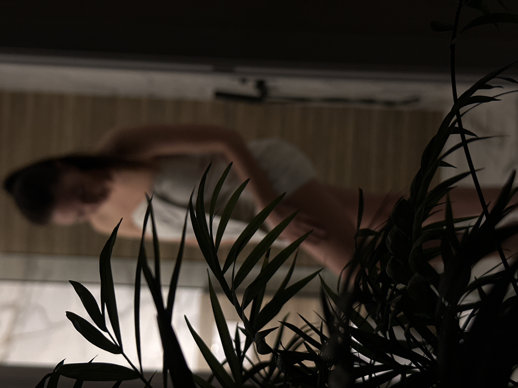 A woman is lying in bed, partially obscured by a potted plant with thin, dark leaves in the foreground. The room is dimly lit and appears to be inside, as indicated by the presence of a horizontal fixture above the bed. No definitive information about the specific location in Chaikovsky, Russia, is discernible from the image.