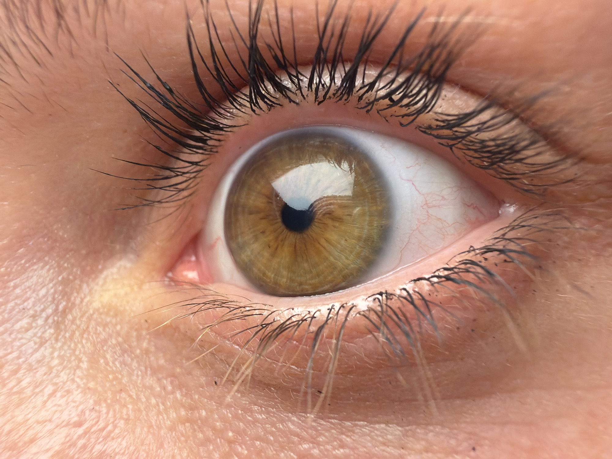 A close-up photograph depicts a human eye with hazel-colored iris. The eyelashes are prominent and dark, suggesting they may be enhanced with mascara. There are visible blood vessels in the sclera. The surrounding skin displays fine lines and wrinkles. The image does not depict a location in North Kuta, Indonesia, and there are no additional people, actions, or interactions within the environment.