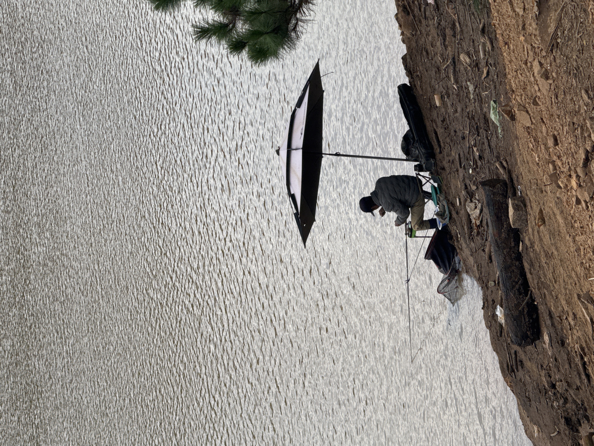 A lone fisherman sits on a folding chair on the rocky, debris-strewn bank of a calm lake, fishing under a large, open umbrella. The fisherman, wearing a dark jacket and cap, holds a fishing rod that extends into the water. A fishing net is partially submerged at the water's edge. To the right of the fisherman, a black fishing rod case rests on the ground. Behind the umbrella, a black bag is placed on the ground. The lake's surface is rippled, reflecting the muted light of what appears to be an overcast day. A portion of a pine tree is visible in the upper right corner of the image. The ground on the bank is a mix of dirt, rocks, twigs, and scattered litter. The overall scene suggests a peaceful, solitary moment of angling in a natural setting, likely in Lang Biang - Da Lat, Vietnam, given the characteristic landscape and vegetation.