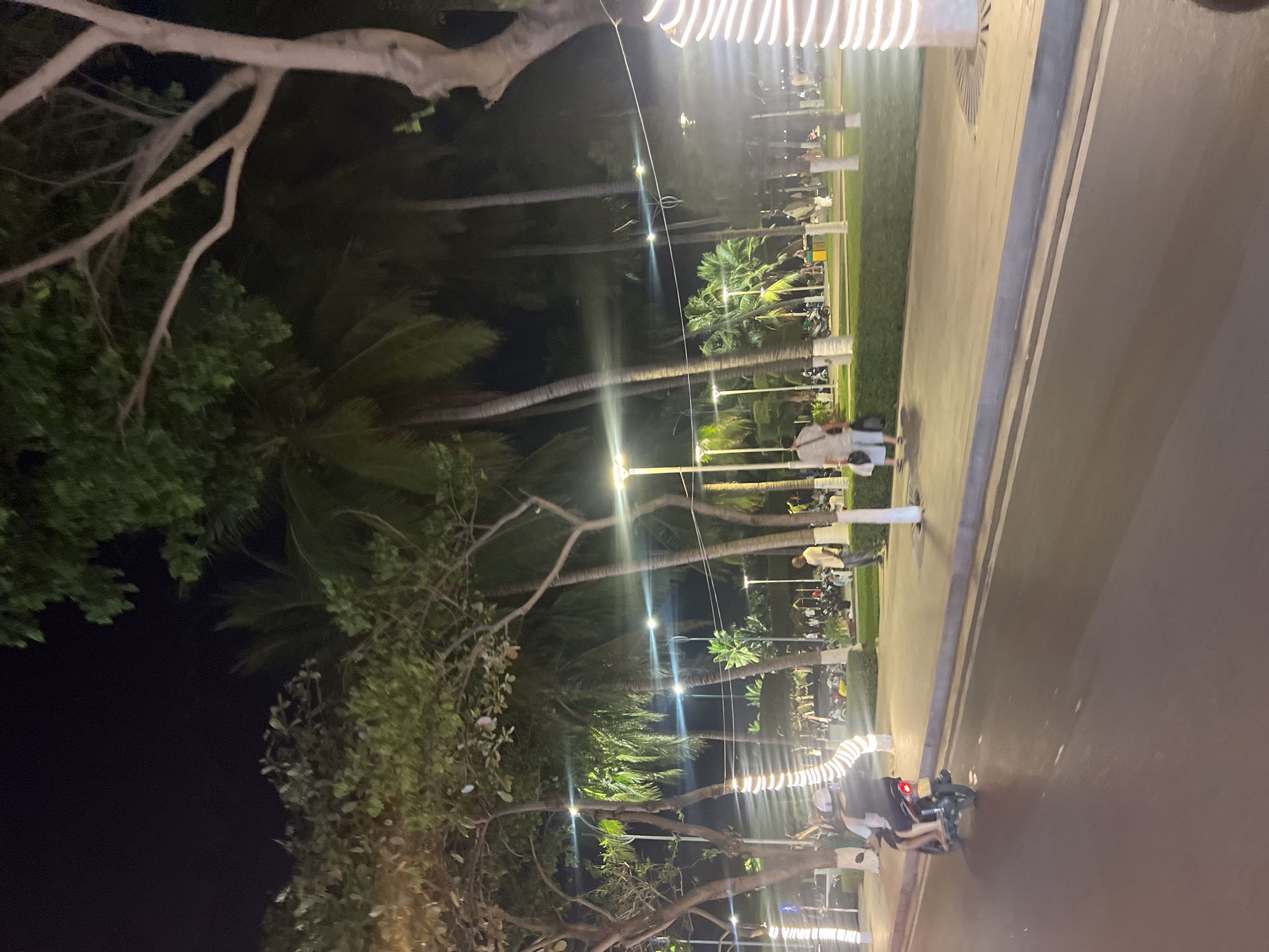 The image shows a night scene in Nha Trang Ward, Vietnam. Palm trees line the side of a street, illuminated by decorative lights. There are people walking and riding motorbikes along the paved area next to the street. A grassy area separates the street from the palm trees.