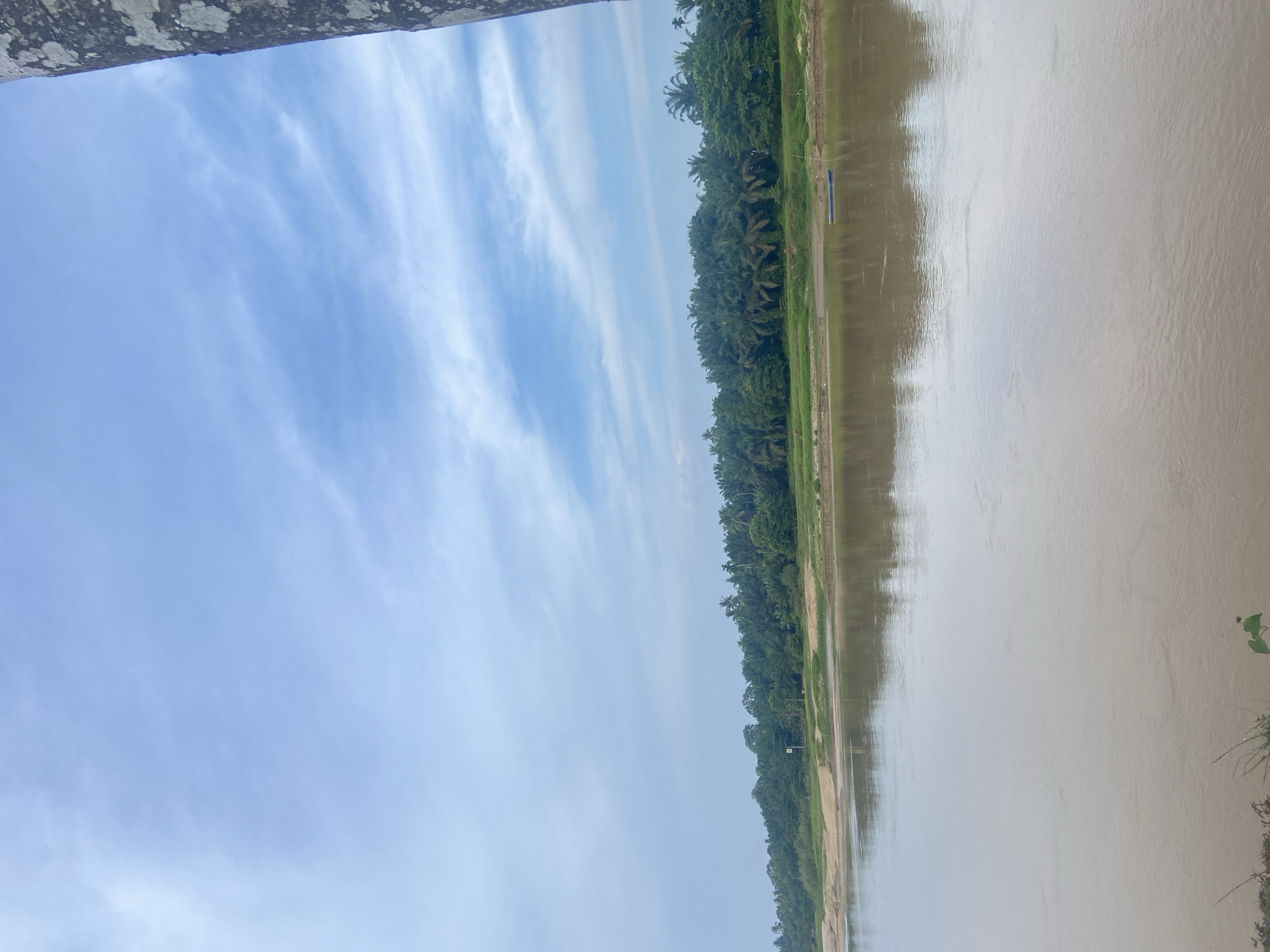 The image depicts a serene natural scene of a river with a lush green bank lined with palm trees. The sky is a clear blue with wispy white clouds, creating a tranquil atmosphere. The river's water is a murky brown, reflecting the sky and trees. A small blue boat is visible on the water, anchored near the bank. The foreground shows a small patch of grass and a few leaves, suggesting the viewer is positioned on the riverbank. The overall scene evokes a sense of peace and natural beauty, characteristic of a rural Indonesian landscape. This location appears to be near the city of Air Molek, Indonesia, a place known for its natural beauty and agricultural landscapes.
