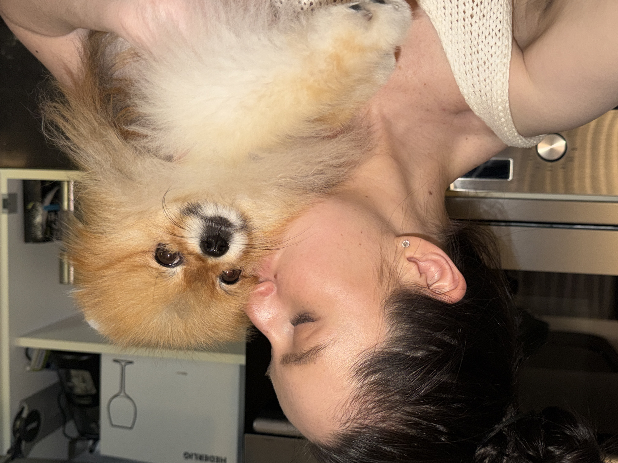 The image, taken in Khimki, Russia, captures a tender moment between a person and a small, fluffy dog, likely a Pomeranian, within a domestic setting. The person, who appears to be a woman with dark hair tied back, is seen in profile, her head gently tilted towards the dog. She is wearing a light-colored, possibly cream or white, knitted top and has a small stud earring in her right ear. Her eyes are closed or looking down, suggesting a moment of quiet affection or a soft interaction.
The dog, with its characteristic light brown and white fluffy fur, dark eyes, and small black nose, is nestled closely against the person's face, their heads nearly touching in a cuddly embrace. The scene conveys warmth, intimacy, and affection between the pet and its owner.
The background indicates an indoor environment, possibly a kitchen or utility area. To the left, an open cabinet reveals shelves with various items, including a white box displaying a line drawing of a wine glass and partially visible text "HEDERLIG," likely from IKEA's glassware collection. To the right, stainless steel kitchen appliances, possibly an oven or microwave, with a control knob, are visible. The lighting is ambient and suggests an indoor setting, possibly during the evening or in a softly lit room.