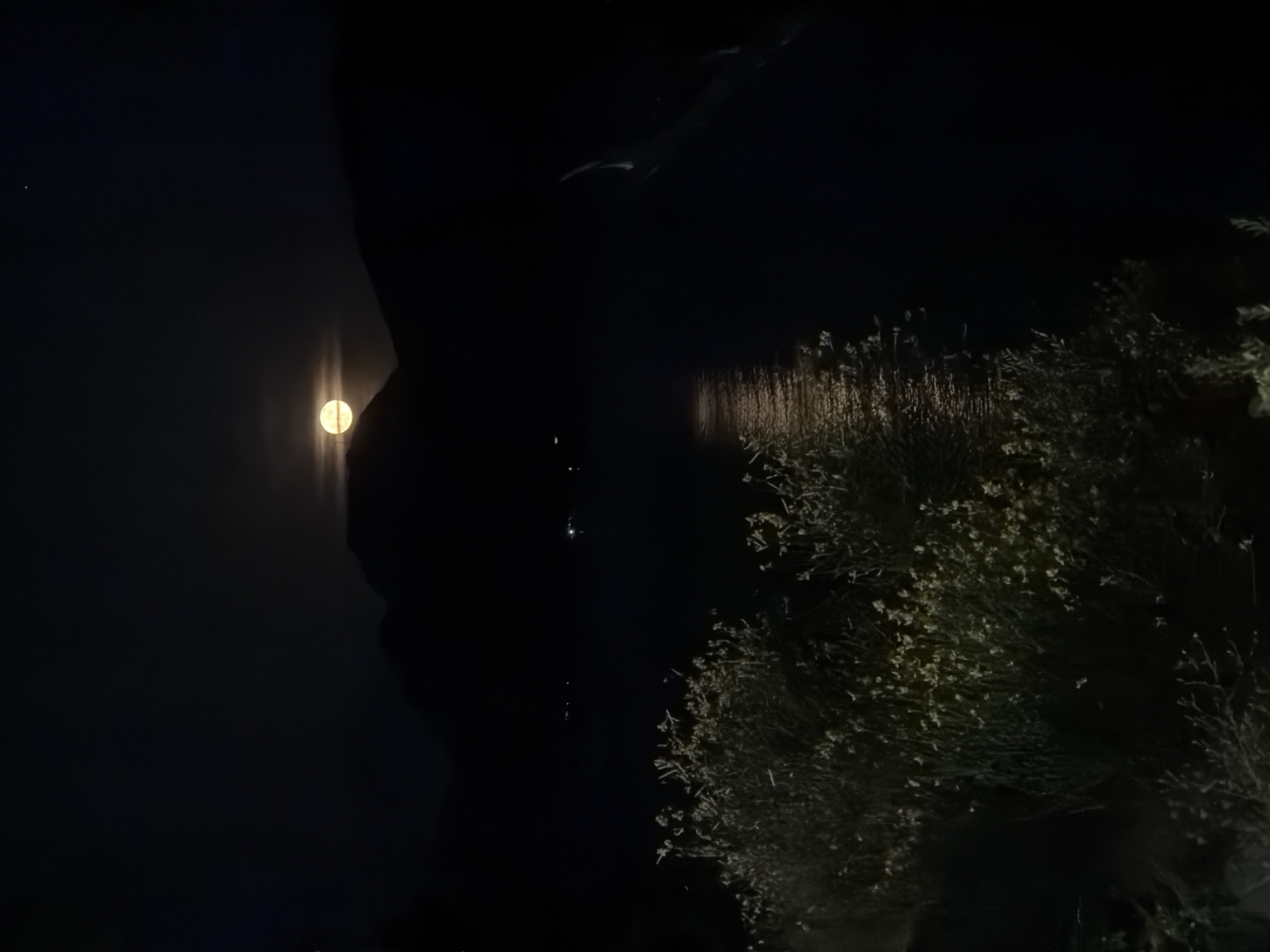 The image depicts a night scene in Petrovac na Moru, Montenegro. A bright full moon is visible in the sky, its reflection shimmering on the water's surface. The silhouette of a dark object, possibly a tree or rock formation, is seen partially obscuring the moon. Vegetation, likely shrubs or small trees, is present on the right side of the frame. The overall scene is dark, with only the moon and its reflection providing significant illumination.