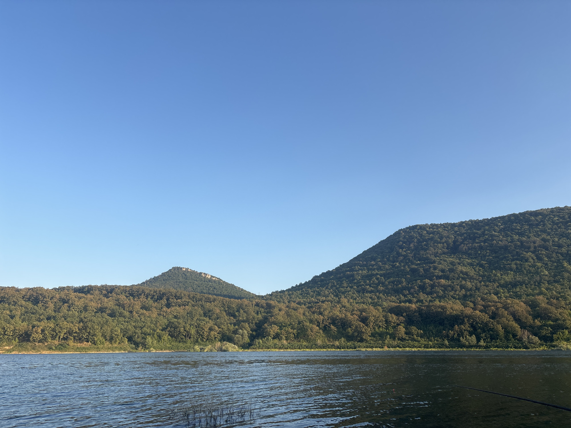This is a wide-angle, eye-level, outdoor photograph capturing a serene lake scene with rolling, tree-covered hills in the background under a clear, pale blue sky. The water in the foreground is calm with gentle ripples, reflecting the light and the darker hues of the distant hills. Emerging from the water in the lower foreground are sparse, dry reeds. The hills dominate the middle ground and background, densely covered with various shades of green and brown foliage, suggesting a mixed deciduous forest. Two prominent peaks are visible; a smaller, more conical one to the left, and a larger, more rounded one to the right. The lighting suggests it is either early morning or late afternoon, with soft sunlight illuminating the scene. In the far right of the image, a black fishing rod extends into the frame over the water. The location is the lake near the city of Asparuhovo, Bulgaria. There are no people or animals visible in the image.