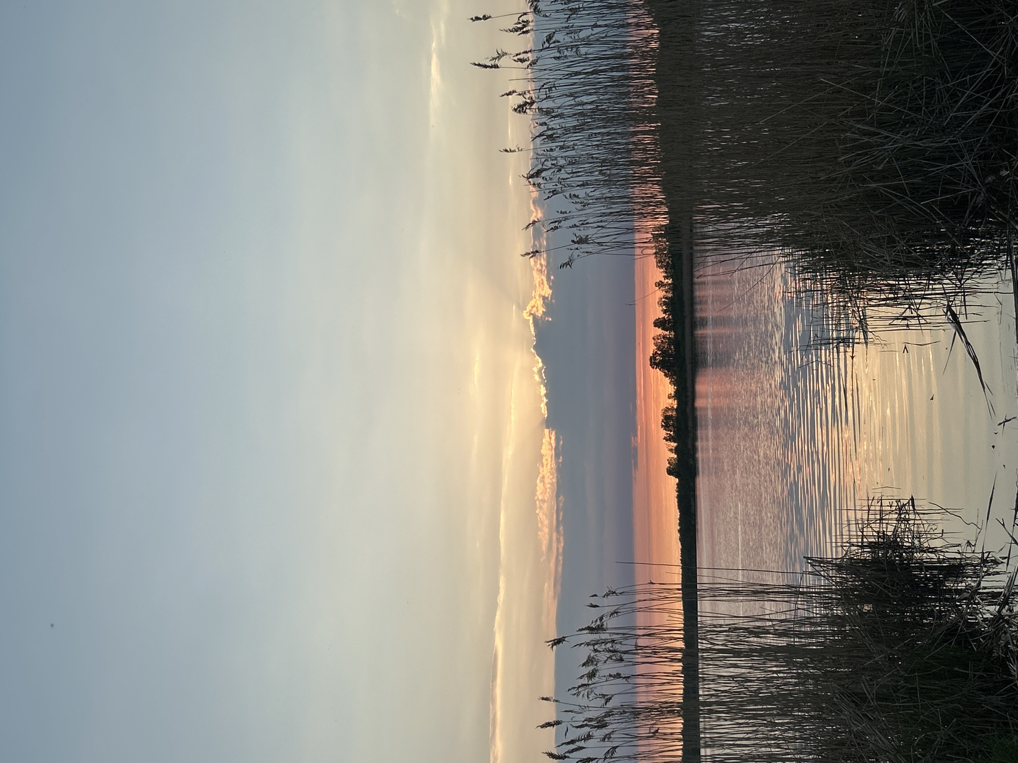 The image depicts a tranquil waterscape at sunset. Tall reeds frame the water's edge on both sides, their silhouettes stark against the sky. The sky transitions from a pale blue to shades of orange and pink as the sun sets, with some clouds partially obscuring the sun. The water reflects the colors of the sky, creating a mirrored effect. A line of trees is visible on the opposite bank. The location is in Saint Petersburg, Russia.
