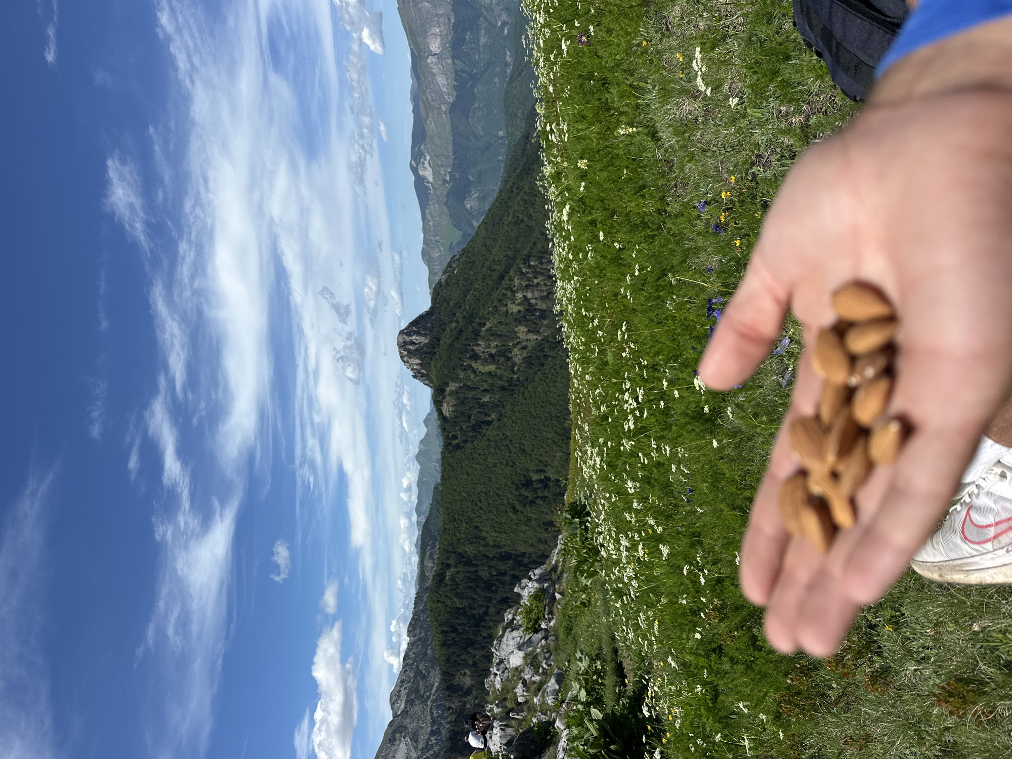 This media file shows a close-up of a person's hand holding a cluster of almonds against a backdrop of a mountainous landscape. The hand, with visible fingernails and skin texture, is positioned in the foreground, slightly out of focus, with the almonds appearing as small, light brown ovals. To the right of the hand, a white athletic shoe with a red logo is partially visible.
The background depicts a vast, green mountainside covered with numerous small white and yellow wildflowers. Further in the distance, lush green forests climb the slopes of imposing, layered mountains under a bright blue sky dotted with wispy white clouds. The scene suggests an outdoor activity, likely a hike or a break during an outdoor excursion, given the rugged terrain and the presence of a backpack strap visible in the upper right corner.
The lighting indicates it is daytime, likely mid-morning or afternoon, with clear and sunny weather, as suggested by the bright sky and the sharp details of the landscape. The overall mood conveyed is one of appreciation for nature and a moment of simple sustenance amidst a scenic and possibly remote location. The location cues, such as the type of mountains and the wildflowers, are consistent with a mountain environment. No visible text is present in the image.