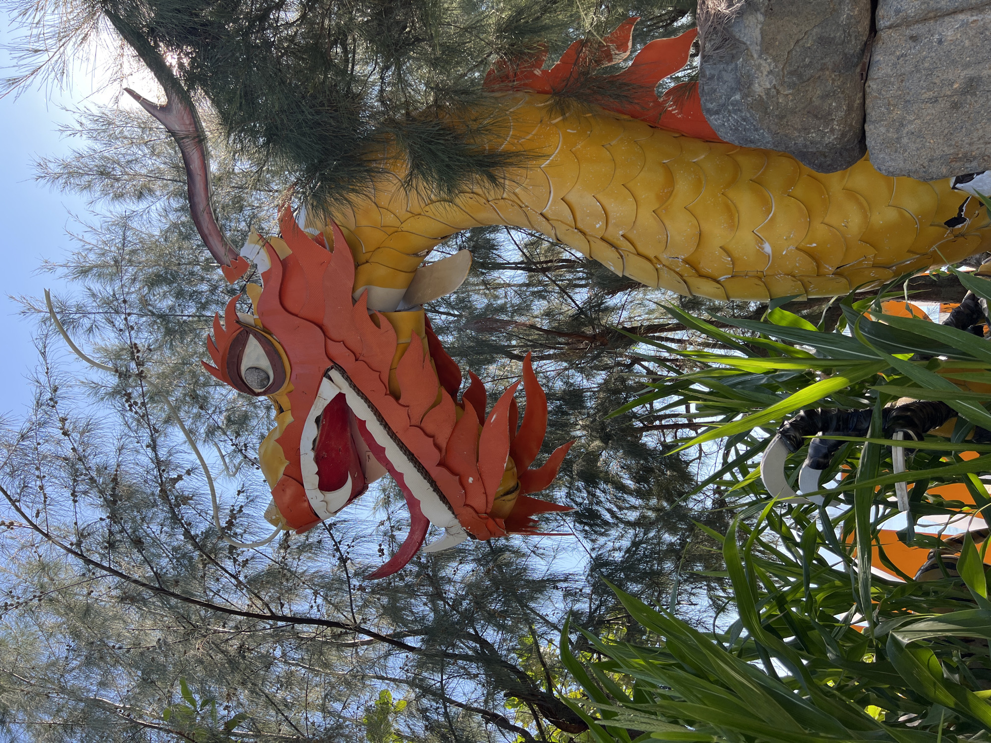 This image shows a large, colorful dragon sculpture positioned outdoors amidst greenery and trees. The dragon is predominantly orange and yellow, with intricate detailing on its head, scales, and tail. Its mouth is open, revealing red and white accents. The background consists of lush green foliage, slender trees with needle-like leaves, and a bright blue sky. Two large, grey rocks are visible in the lower right portion of the frame. The setting appears to be a public space, possibly a park or garden, in Ninh Ich, Vietnam.