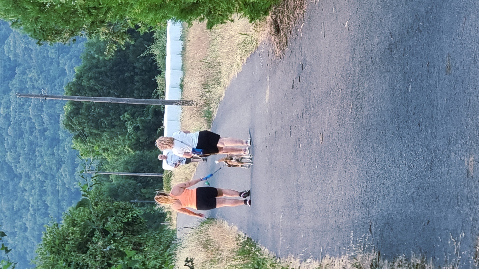 Two women and a man are walking on a paved road in Sant Joan les Fonts, Spain. The woman in the foreground on the left is wearing an orange tank top and black shorts, and is walking a small dog on a blue leash. The woman to her right is wearing a white t-shirt and black shorts. The man in the background is wearing a grey t-shirt and black shorts. The road is lined with dry grass and trees. In the background, there are large white structures that appear to be covered bales of hay. A forested hill is visible in the distance. There are utility poles and wires along the side of the road. The lighting suggests it is late afternoon or early evening.