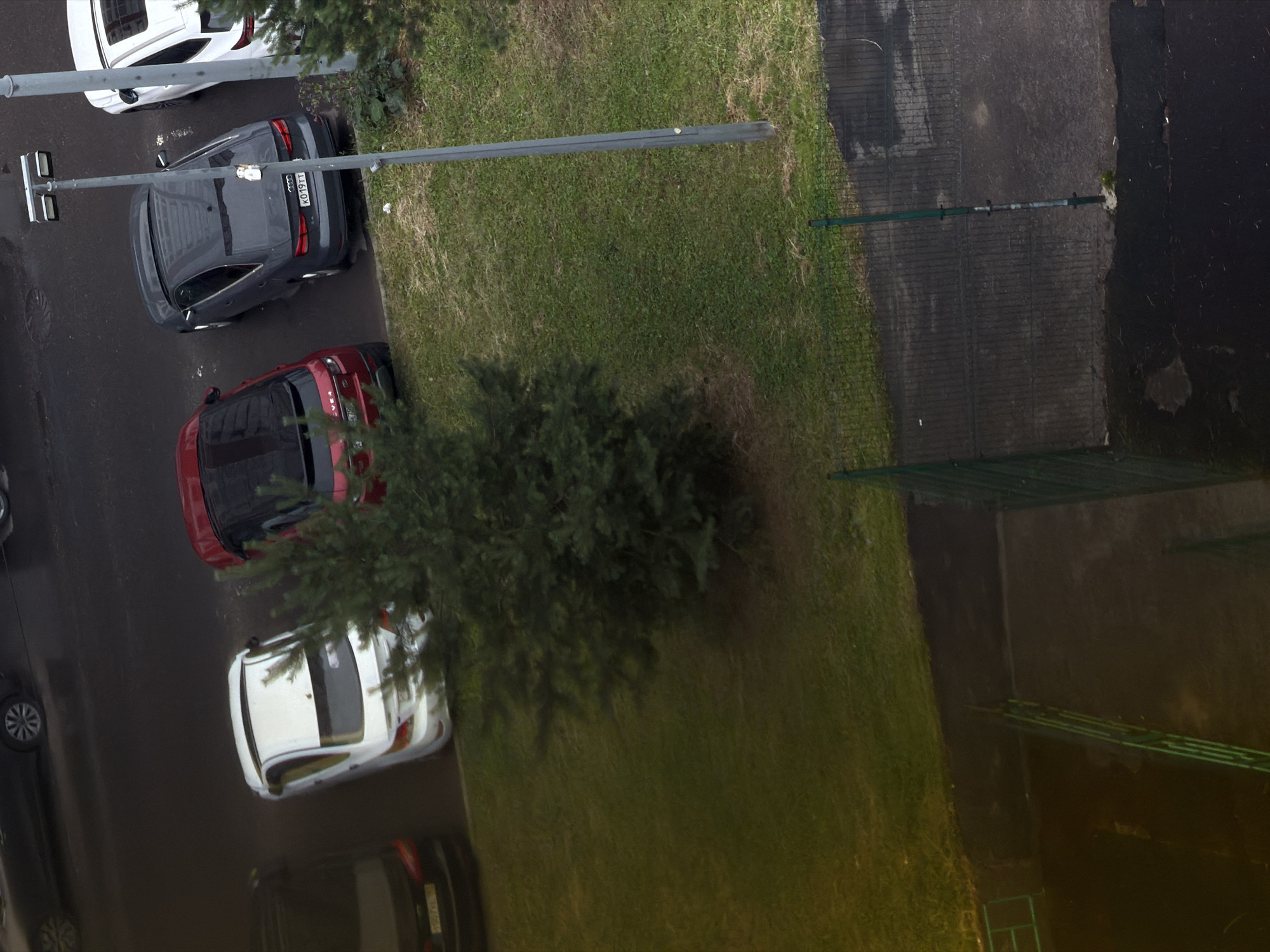 An overhead, angled view captures a residential street scene, likely in Bobrovo, Russia, with several parked cars and a patch of grassy area. A dark-colored sedan is parked on the left. Adjacent to it is a white sedan, followed by a red SUV. To the right of the red SUV is a dark grey sedan, which has a license plate reading "KO19TT". Further to the right, partially visible, is the rear of a white car. A tall street light stands prominently in the center of the frame, near the grey sedan. A mature evergreen tree is situated in the grassy area between the parked cars and the street. The ground appears wet, suggesting recent rain. A section of dark pavement with a wire fence runs along the bottom of the image, indicating a courtyard or adjacent walkway. The overall lighting suggests an overcast day.