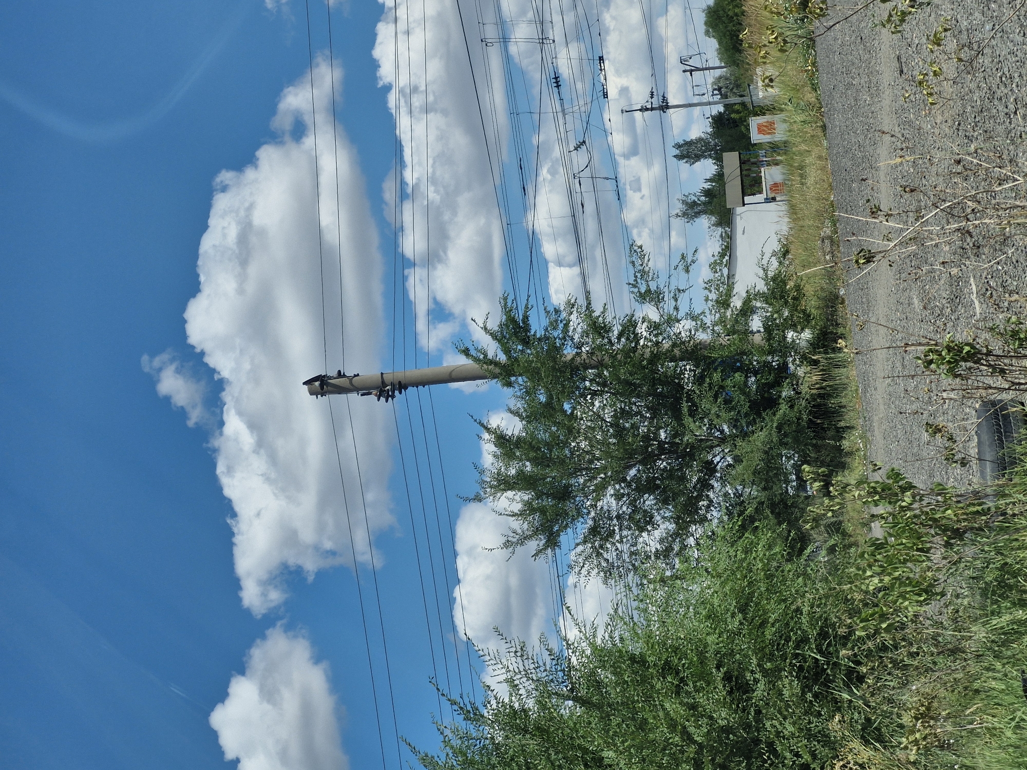 The image shows a bright, sunny day with a blue sky dotted with white, puffy clouds. In the foreground, a gravel path runs through dry grass and scrub brush. Several trees, one large and leafy in the center and more sparse greenery on the left, frame the scene. A concrete utility pole stands tall in the center, supporting multiple black electrical wires that stretch across the frame. In the background, there is a white building with orange markings, and further back, more trees and utility poles. The presence of overhead power lines and industrial-looking structures suggests a location on the outskirts of a city or near a transportation hub. Given the context of Astana, Kazakhstan, this scene is likely a common sight in areas with active infrastructure and developing industrial zones, possibly near railway lines or power substations.