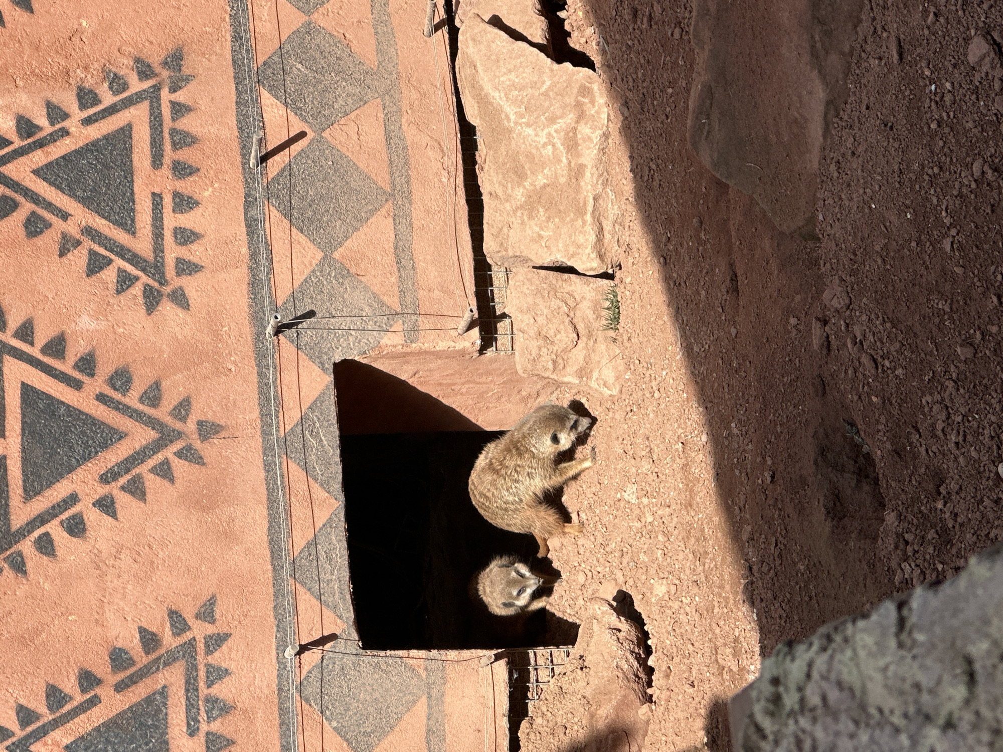 The image shows two meerkats near a dark hole in the ground. The area around the hole is made of reddish-brown earth and rock, and there is a wall with a pattern of triangles and diamonds painted in black on a reddish-brown background. Thin wires with small metal fasteners are visible on the wall. This scene is located at the Wrocław Zoo in Wrocław, Poland.