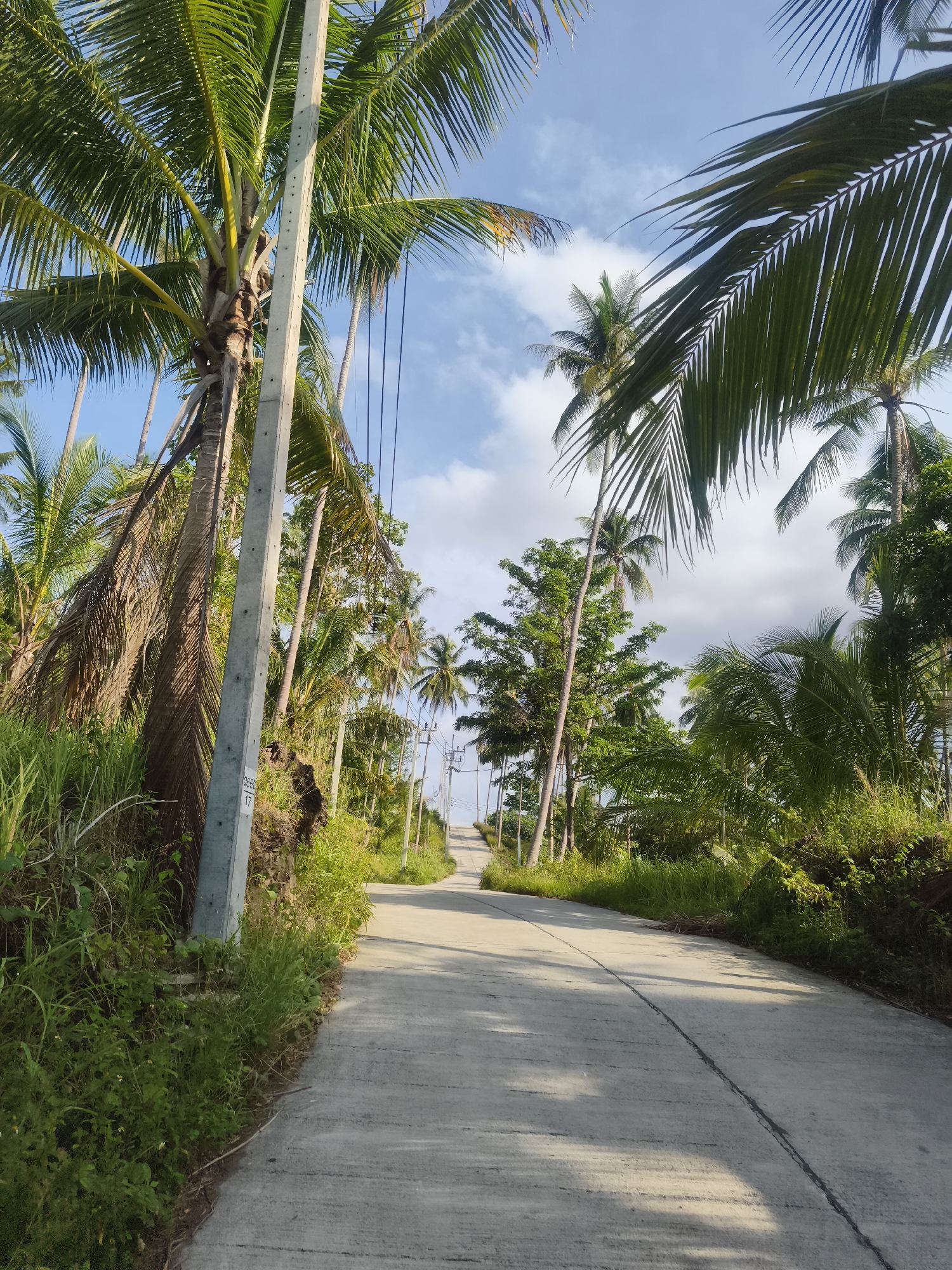 The image depicts a paved road winding through a tropical landscape on Ko Samui District, Thailand. The road is flanked by lush green vegetation, with numerous palm trees dominating the scene. Overhead, power lines stretch across the frame, supported by utility poles. The sky is partly cloudy, with patches of blue visible. The lighting suggests it is daytime, possibly morning or late afternoon, given the length of the shadows cast on the road. There are no people visible in the image. The overall impression is one of a rural, tropical setting with basic infrastructure.