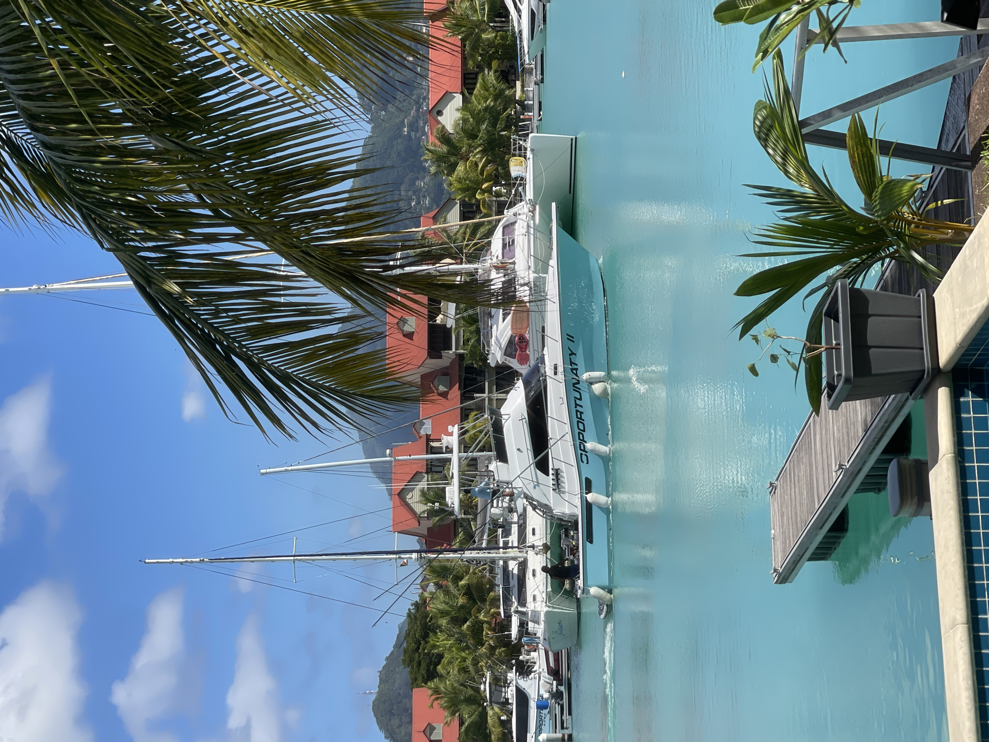 This image depicts a bright, sunny day in a marina in Providence, Seychelles. The foreground features a section of a blue tiled swimming pool and a wooden dock extending into the strikingly turquoise water. Several boats are moored in the marina, including sailboats with tall masts and a powerboat with "OPPORTUNITY II" visible on its hull, which appears to be in motion, creating a wake. In the background, buildings with distinctive red-tiled roofs are nestled among lush green palm trees, with rolling green hills rising behind them under a clear blue sky dotted with white clouds. Two individuals are visible on the deck of the powerboat. The overall scene conveys a sense of a serene tropical vacation destination.