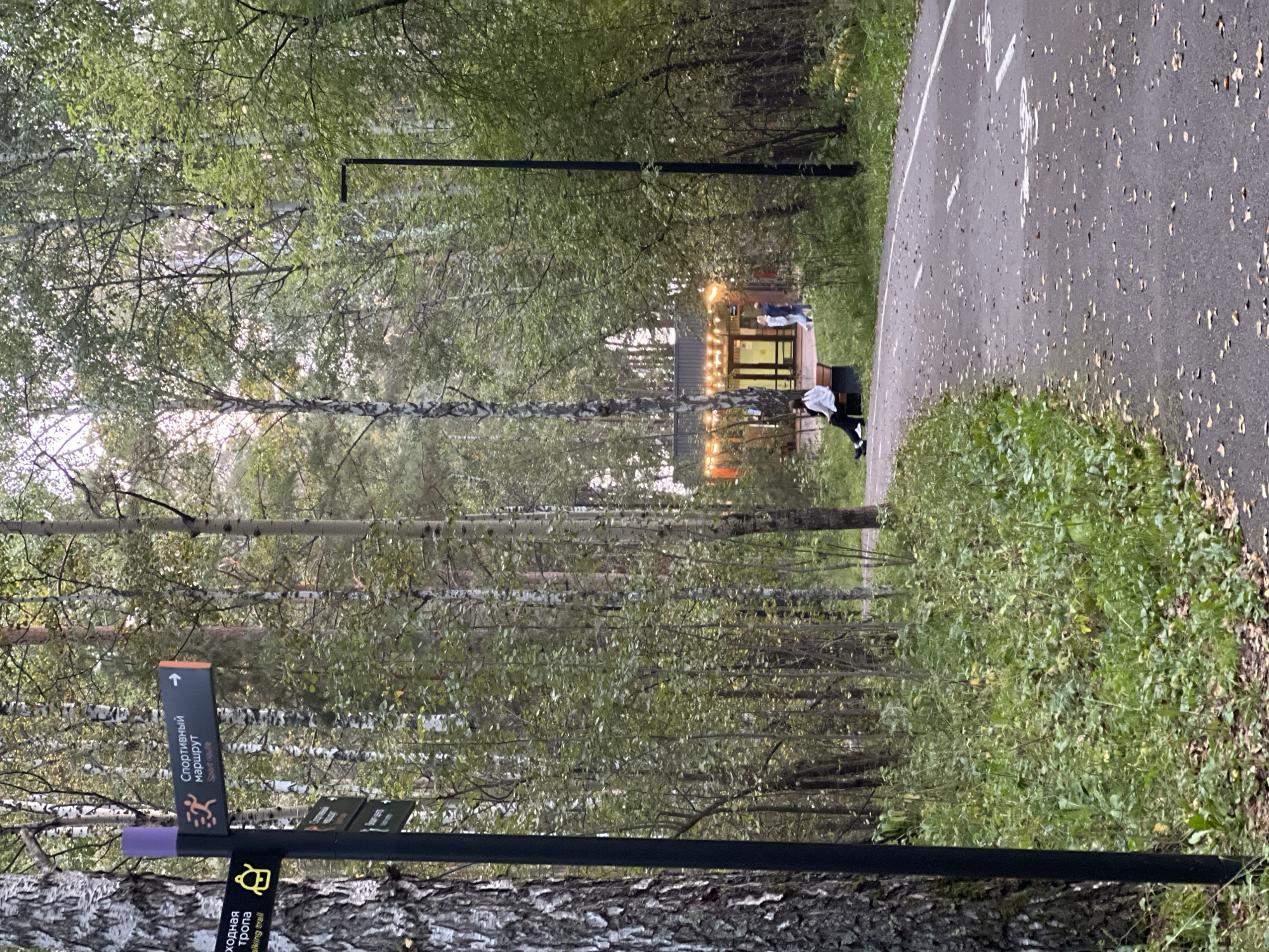 The image depicts a park scene in Krasnoyarsk, Russia, with a paved path winding through a dense forest of birch and pine trees. A signpost with directional arrows stands to the left, indicating "Walking Trail" and "Sports Route." In the background, a building with illuminated windows and string lights is visible, and a few people are walking near it. A person is sitting on a bench by the path. The ground is covered with fallen leaves and green vegetation. The overall atmosphere suggests a tranquil, natural setting within an urban environment.