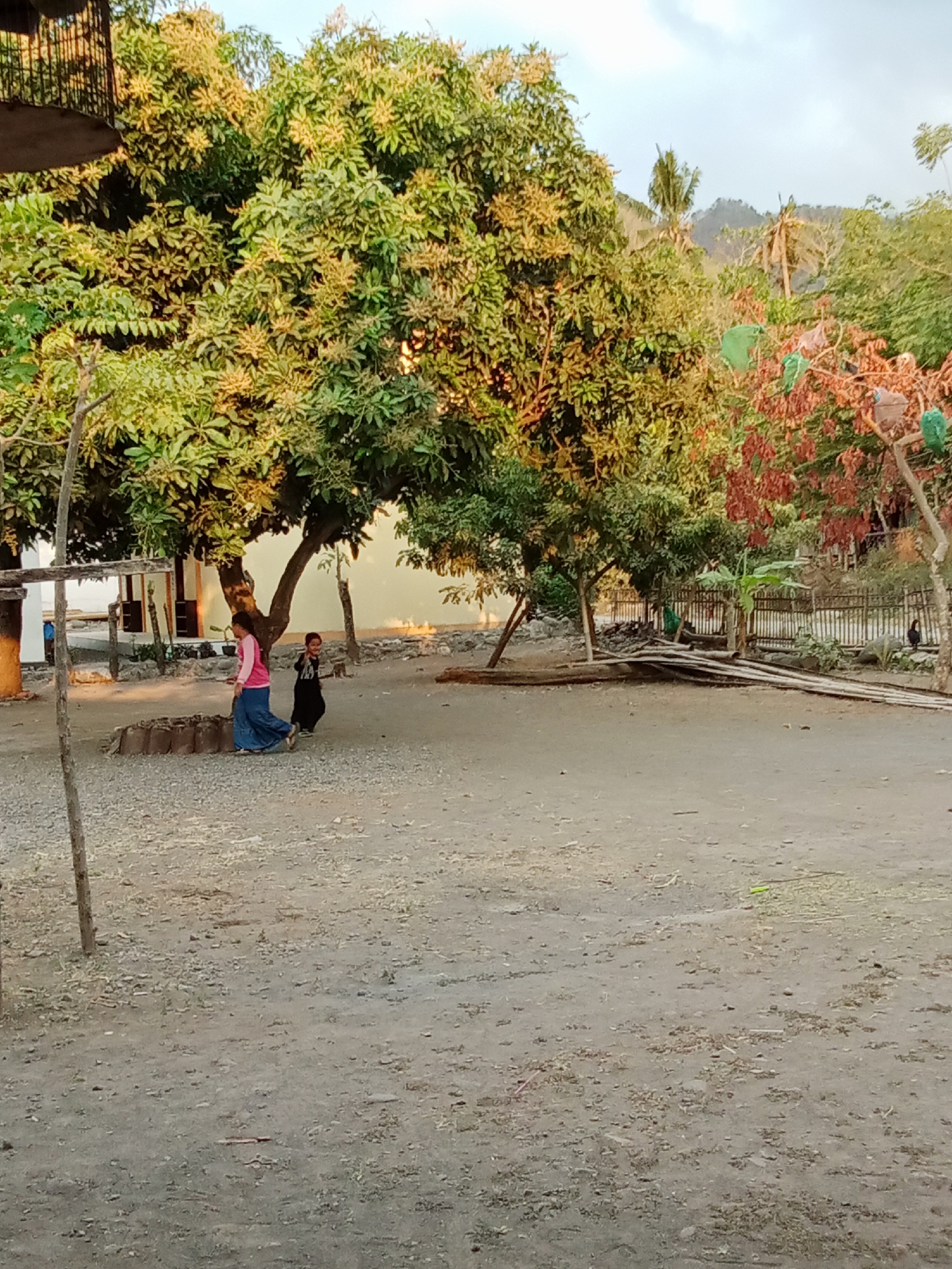 In Selowogo, Indonesia, a scene unfolds under a cloudy sky, with dappled sunlight illuminating the area. Two children are the focal point in the foreground. A girl, wearing a pink top and a blue skirt, walks with her back to the camera, her left leg extended. Beside her, a smaller child in a black outfit looks towards the left, possibly interacting with the girl or something unseen. They are situated near the base of a large tree with abundant green and yellow foliage, suggesting it might be a mango tree in bloom or bearing fruit.
The ground is a mix of gravel and dry earth, with scattered debris. To the left of the children, a circular, stone-lined structure, possibly a well or an old fire pit, is partially visible. Beyond the tree, a light-colored building stands, its windows dark. A wooden structure, resembling a rustic table or a frame, is positioned in front of the building.
Further back, the landscape transitions to denser vegetation, including banana trees and trees with red leaves, indicating a diverse flora. A bamboo fence encloses a section of the area, with what appears to be piles of wood or bamboo logs stacked in front of it. In the distance, a dark bird stands near the fence. Rolling hills or mountains form the backdrop, their slopes covered in greenery, suggesting a rural or semi-rural setting. The overall impression is one of a serene, everyday moment in a tropical environment.