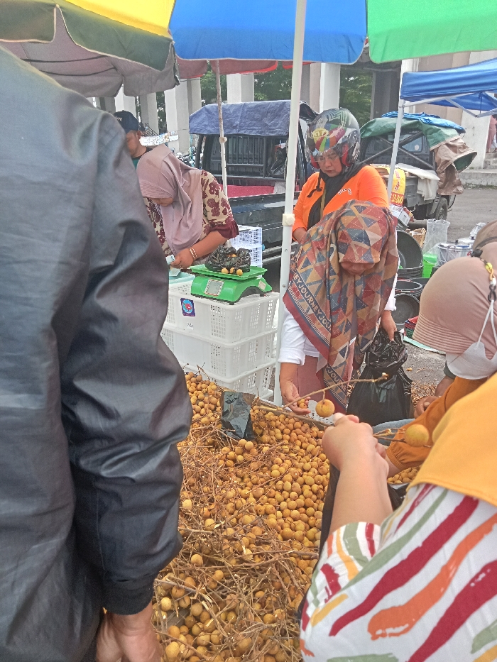 This image depicts a bustling outdoor market scene in Singaparna, Indonesia, during the daytime. The primary focus is on several people engaged in buying and selling longan fruit, which is abundantly displayed in large piles, some still on their branches, on the ground or low surfaces.
On the left, a person in a black jacket stands with their back to the viewer. Behind a market stall, a woman wearing a light brown hijab and a floral top is seen near a green weighing scale, upon which several longan fruits are placed. Adjacent to her, another woman in an orange top and a multicolored motorcycle helmet observes the activity. A woman wearing a patterned hijab with geometric shapes (red, blue, orange, brown) and a white top is actively handling longan fruit, holding some in her hands. Partially visible text, "JOURNEY JOL", can be seen on her hijab. To the far right, another person in a yellow top and a striped shirt is also interacting with the fruit, and a person wearing a brown hijab and a face mask is partially visible.
The market stall area features white plastic crates and black plastic bags. Above the scene, colorful market umbrellas in yellow, blue, and green provide shade. In the background, a light-colored vehicle, possibly a pickup truck, is parked, indicating the market's outdoor setting. The overall impression is one of a lively local fruit market.
