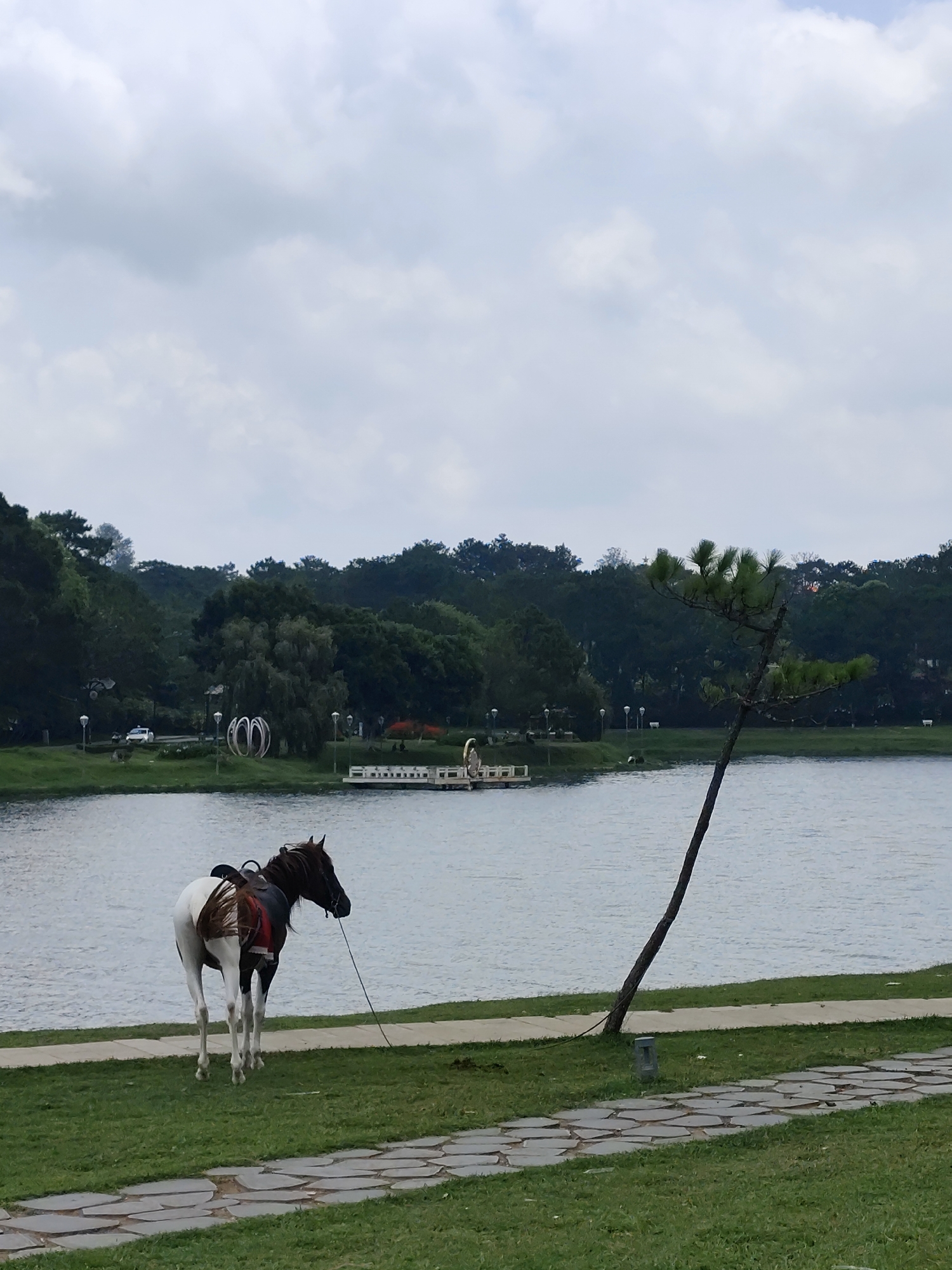 A saddled, piebald horse stands on a grassy area beside Xuan Huong Lake in Da Lat, Vietnam. A stone pathway runs along the edge of the grass. The lake stretches into the distance, with green trees and architectural elements visible on the opposite shore. A young pine tree grows to the right of the horse. The sky is overcast.