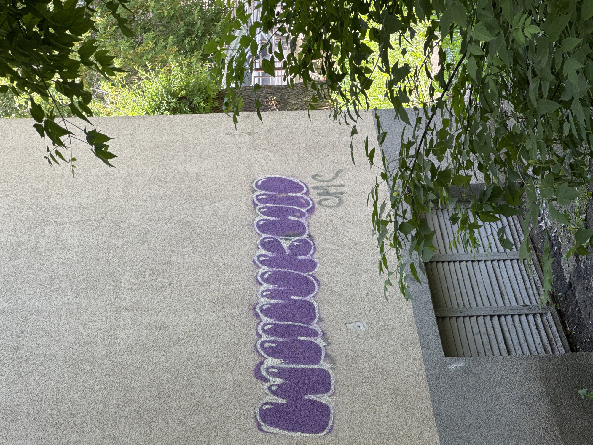 The image shows a wall of a building with graffiti. The graffiti consists of purple bubble letters with a white outline. Below the large graffiti, there is smaller gray graffiti that reads "CMS". To the right of the wall, there are green trees and foliage. In the lower left corner of the image, there is a ventilation grate. The scene appears to be in an outdoor urban environment. The location is identified as Novosibirsk, Russia.