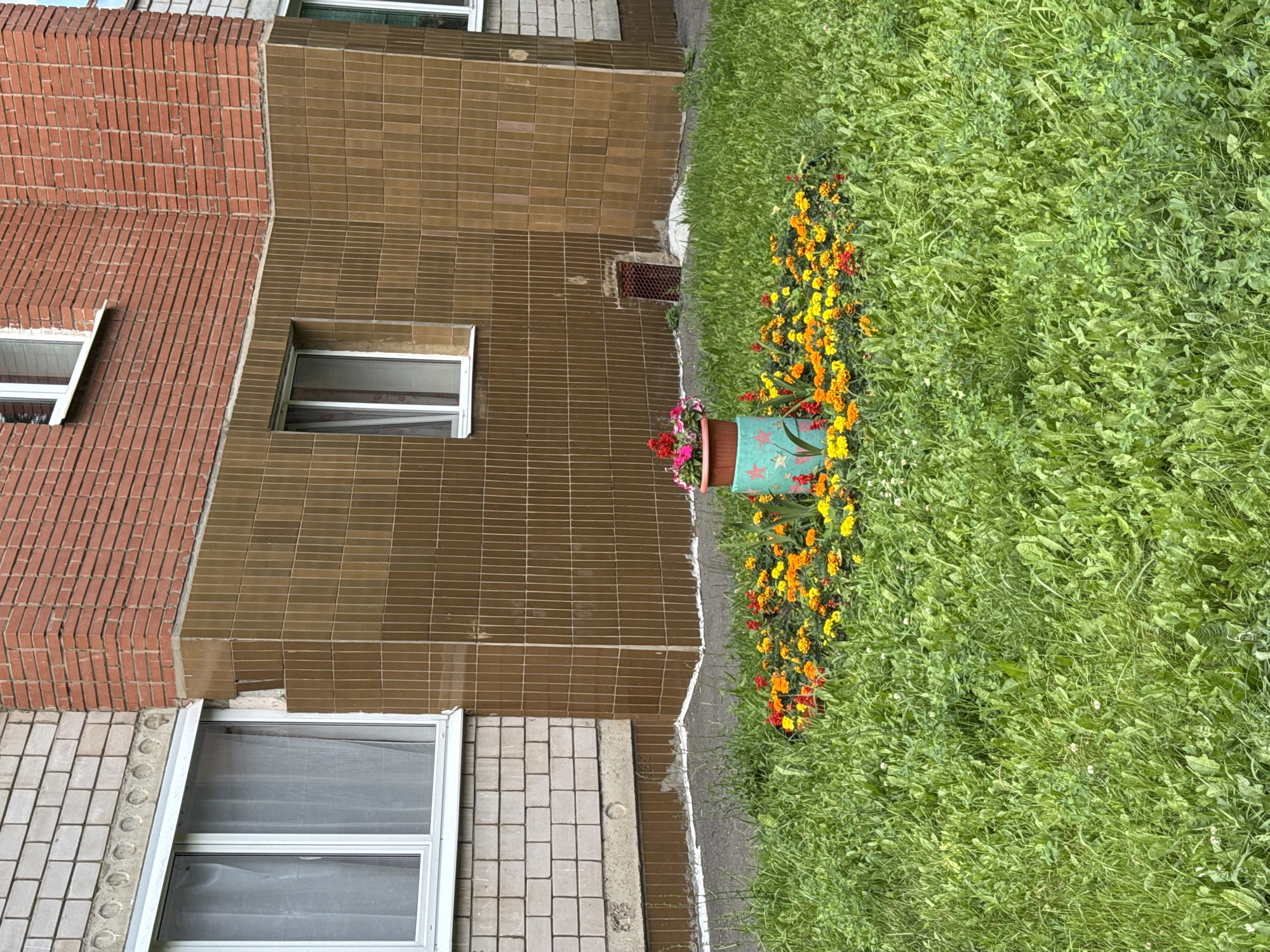 This is an outdoor, eye-level, full shot of a flowerbed in front of a building in Izhevsk, Russia. The flowerbed contains a turquoise planter with a red star pattern, filled with pink and red flowers. Around the planter, a variety of yellow, orange, and red flowers are planted directly in the ground. The flowerbed is surrounded by a lawn of green grass, with some weeds and clover visible. The building in the background features a wall with light-colored bricks on the left, and a section covered in small, rectangular, brown tiles. There is a white-framed window with sheer white curtains on the left side of the building, and another window on the right side of the tiled section. The building's brickwork on the upper right is red. A small, square vent with a red grate is visible at the base of the tiled section. The overall scene depicts a residential area with a small decorative garden.