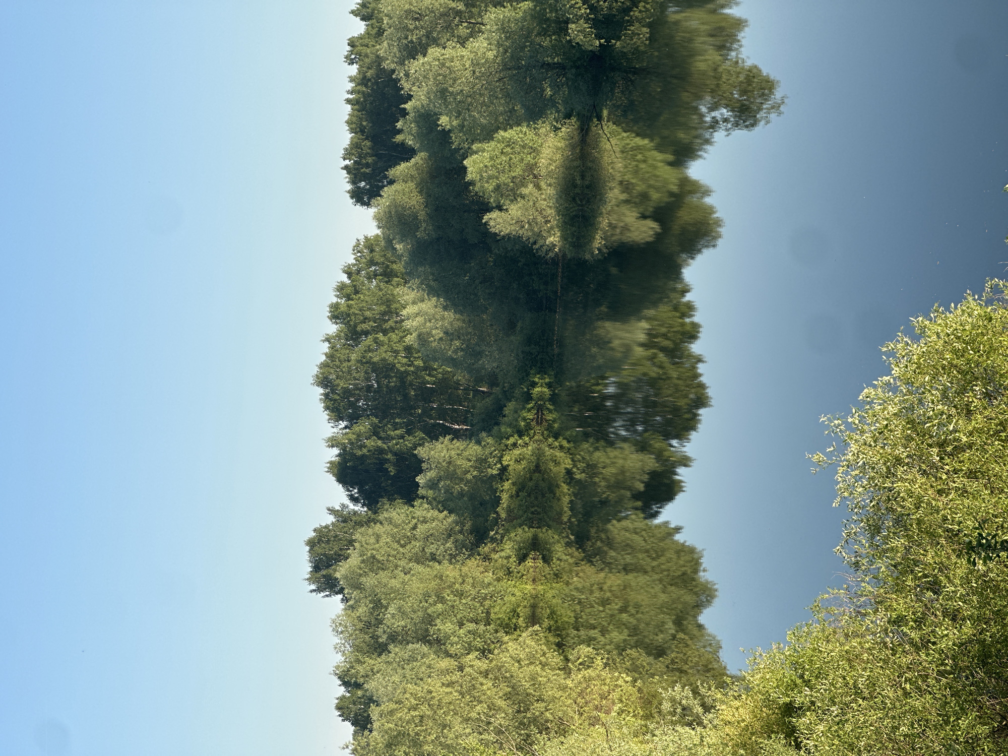 The image appears to be a photograph of trees reflecting in water. The scene is upside down; the sky is at the top and bottom of the frame. On the right, there are trees extending from the bottom of the frame, reflected in the water. A line of trees runs down the middle, also reflected. It is difficult to ascertain further details about the location or context of the image.