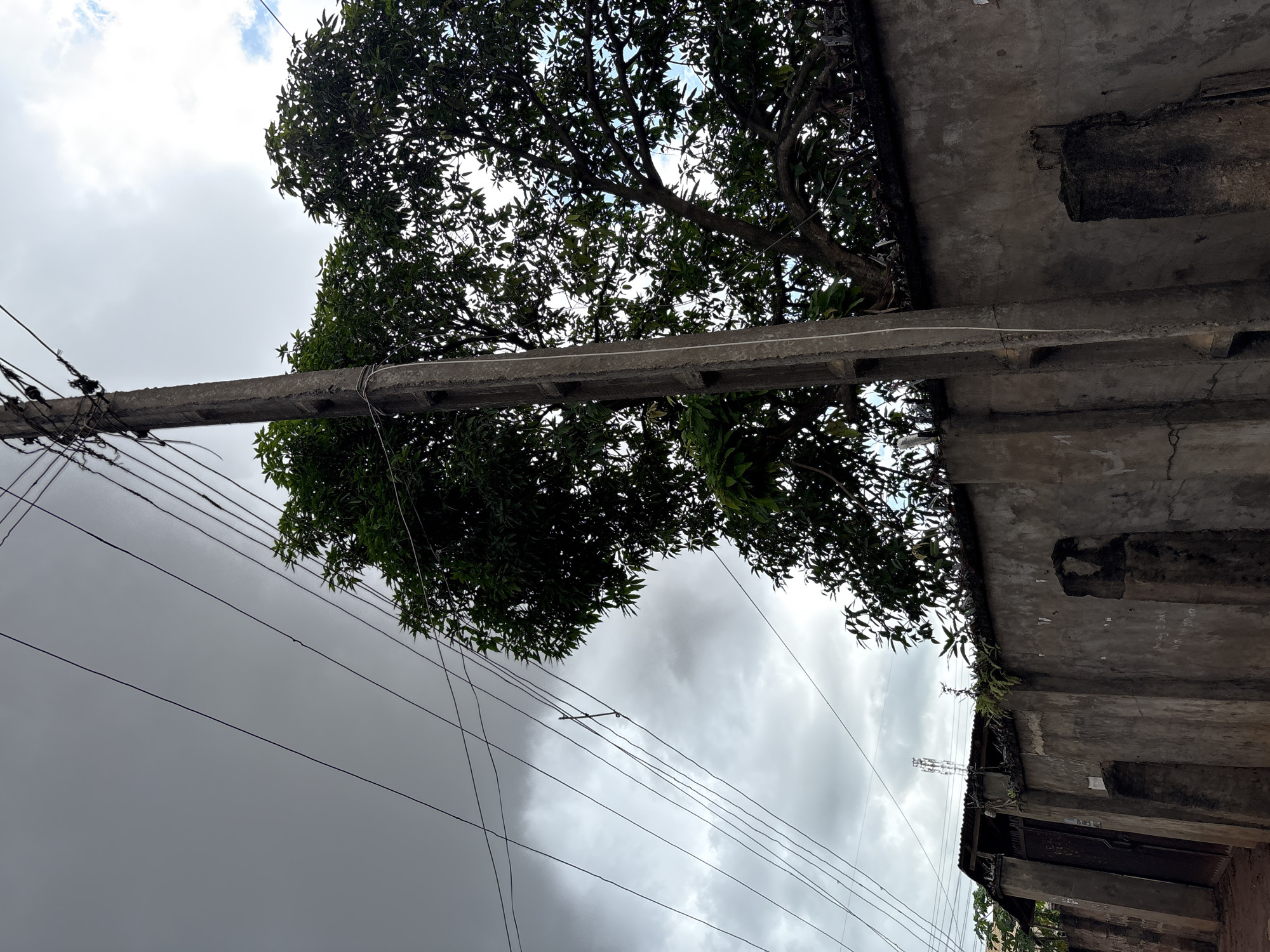 The image depicts a concrete utility pole with multiple wires running from it. The pole is positioned in front of a weathered concrete wall, which appears to be the boundary of a property. Behind the wall, a large, leafy green tree is visible, its branches reaching towards the sky. The sky is overcast with dark clouds, suggesting impending rain. In the background, a corrugated metal roof of a structure can be seen peeking over the wall, along with a distant cell tower. The environment suggests an urban setting, possibly a residential or commercial area in Nkpor, Nigeria. The scene is static, with no people or active interactions visible. The overall impression is one of a typical day in a tropical climate, with elements of urban infrastructure and natural vegetation.