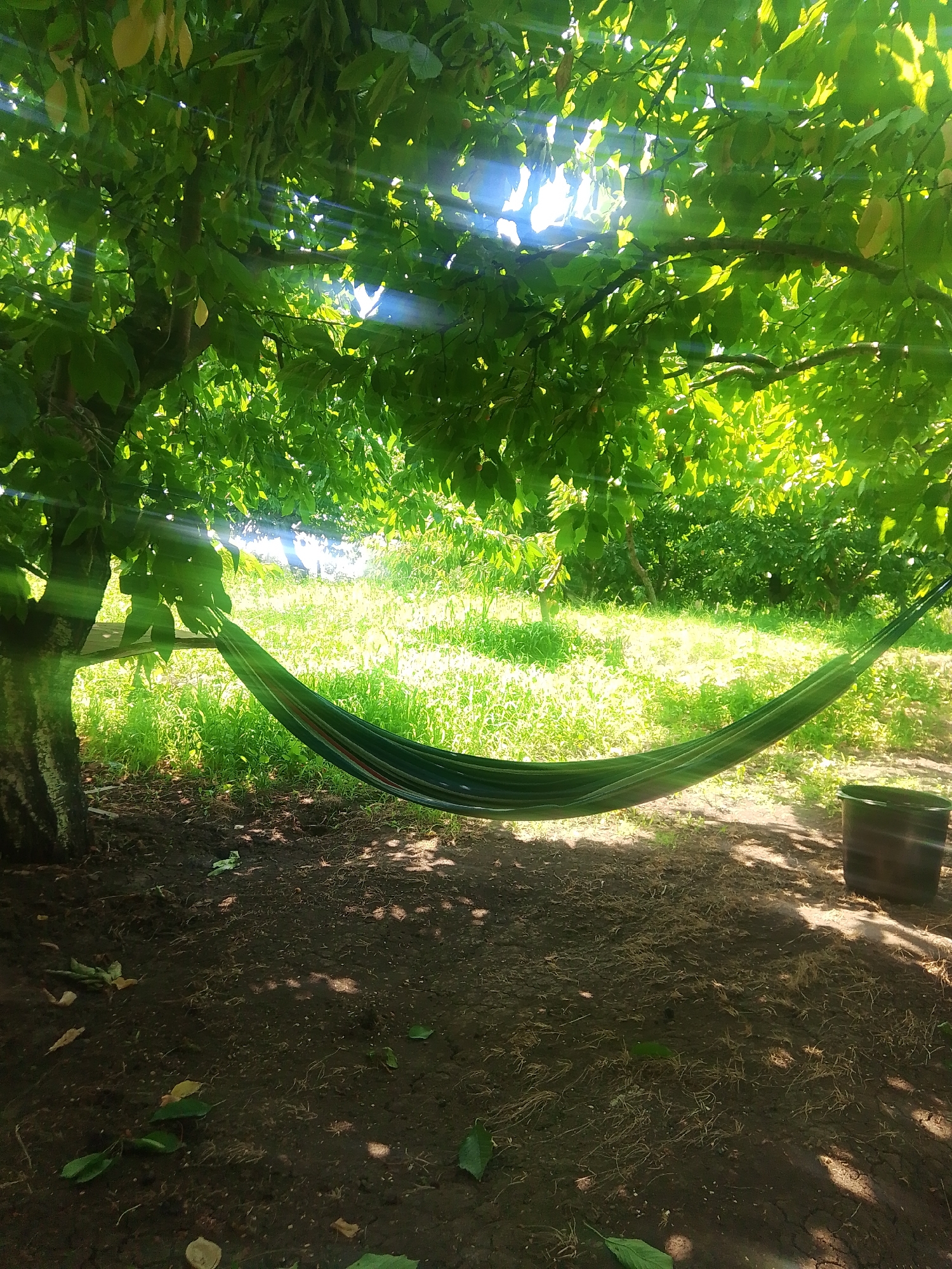 The image depicts a serene outdoor scene beneath the dappled shade of a large tree. A green hammock, accented with red and white stripes, is strung between two points, gently swaying in the sunlight that filters through the lush green foliage. The ground beneath the tree is covered in dark soil, with scattered leaves and twigs. Beyond the tree, a sun-drenched meadow is visible, filled with tall green grass. In the right foreground, a dark, cylindrical object, possibly a bucket or planter, rests on the ground. The overall impression is one of tranquility and natural beauty. The image is believed to have been taken in Ohanavan, Armenia.