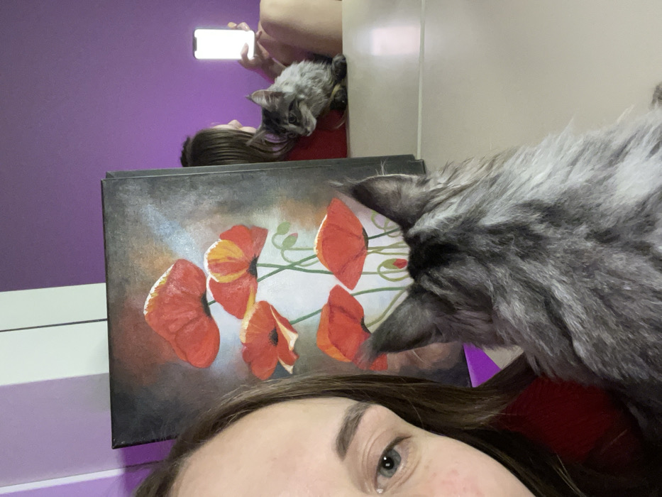 A rotated, close-up selfie features a person's face in the foreground, their eye visible. A gray, fluffy cat's head and ears obscure part of the view, partially covering a painting of red poppies. Above the painting, a second, smaller gray cat rests on a person taking a picture with a phone, both positioned against a purple wall and a white surface. The overall composition is a playful, personal snapshot with vibrant colors.