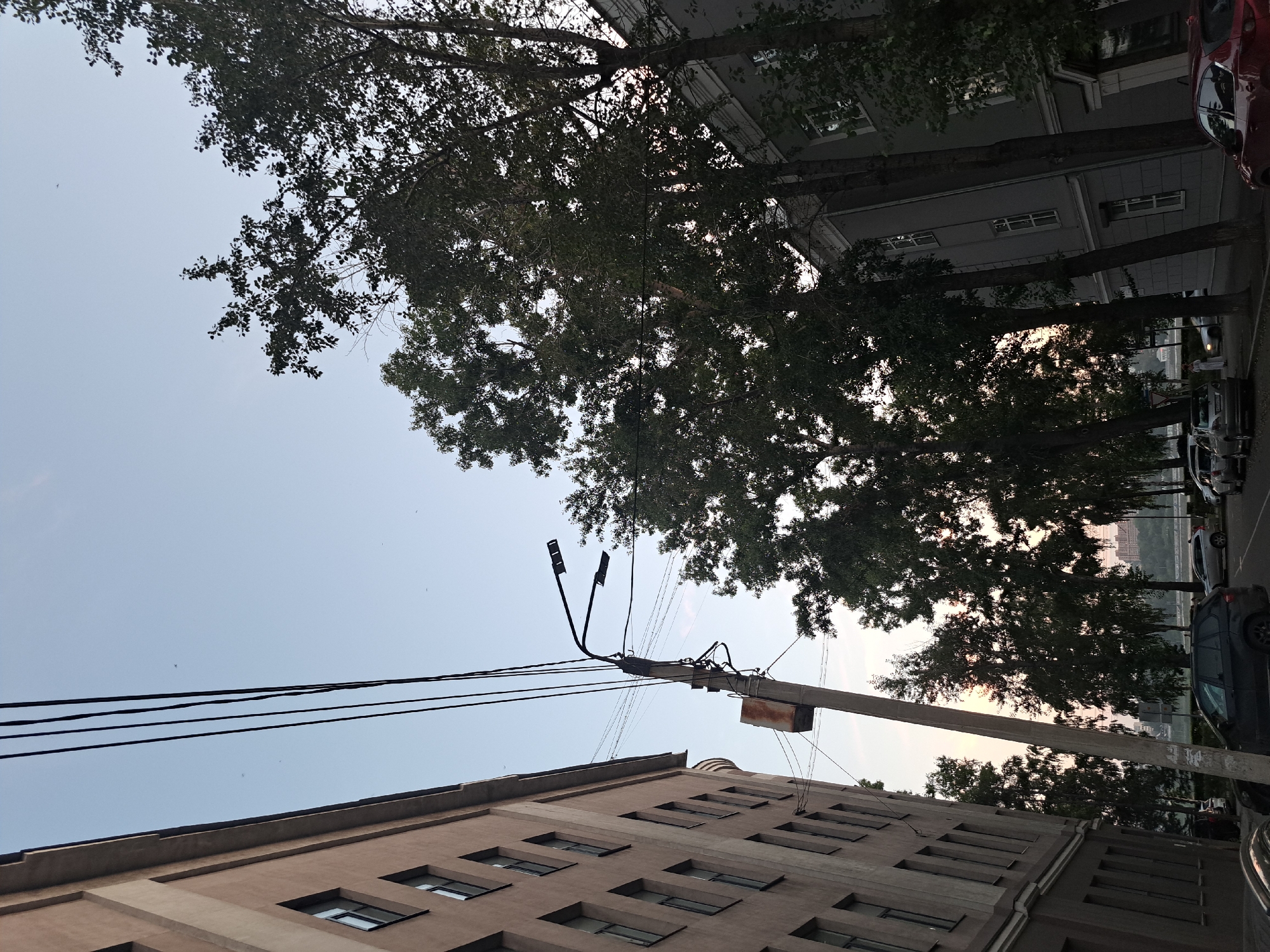 The image depicts a street scene in Irkutsk, Russia, with a focus on architectural elements and natural features. On the left, a tall, light-brown building with a repetitive pattern of windows runs along the street. To the right of this building, a concrete utility pole with multiple wires and two modern streetlights is visible. A cluster of tall, leafy trees occupies the center and right side of the frame, with their branches silhouetted against a pale sky. Behind the trees, another building, appearing to be older and painted gray, is partially visible. Several parked cars, including a black SUV and a red sedan, are present on the street. The overall impression is a street in an urban area, likely during the daytime or early evening, with a mix of Soviet-era and modern architecture, interspersed with mature trees.