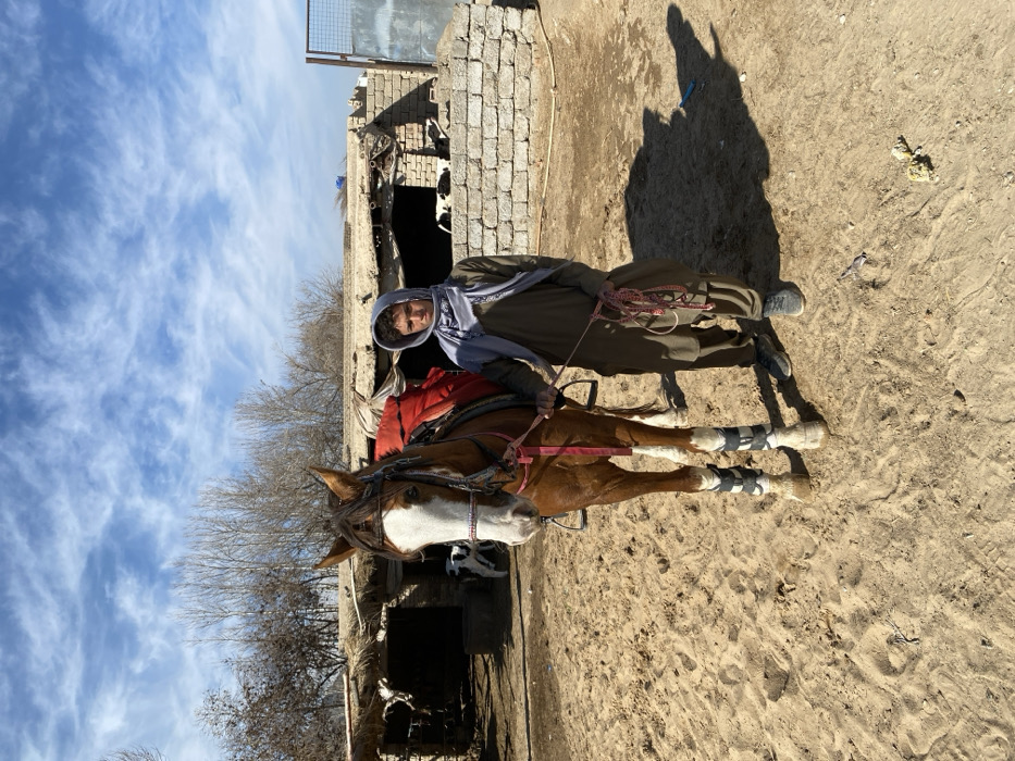 This image depicts an outdoor scene, likely an animal enclosure within Kandahar, Afghanistan. A young male individual, dressed in an olive-green traditional garment (shalwar kameez) and a light grey headscarf, stands on the right side of the frame. He holds a lead rope in his right hand, which connects to a brown horse positioned to his left. The horse exhibits a distinct white blaze on its face and white socks on all four legs, and is equipped with a bridle, a saddle with a visible red saddle pad, and white and black protective leg boots on its front limbs.
In the background, to the left, a makeshift stable or shelter with a thatched roof is visible, housing a small black and white calf. To the right of center, a low wall constructed from unrendered light-colored bricks extends horizontally. Behind this wall, another rudimentary building structure and a partially visible metal gate are present. Deciduous trees with bare branches stand against a bright blue sky marked by scattered white clouds in the far background. The ground consists of dry, light-colored soil with visible footprints. Direct sunlight illuminates the scene, casting distinct shadows to the right of the subjects.