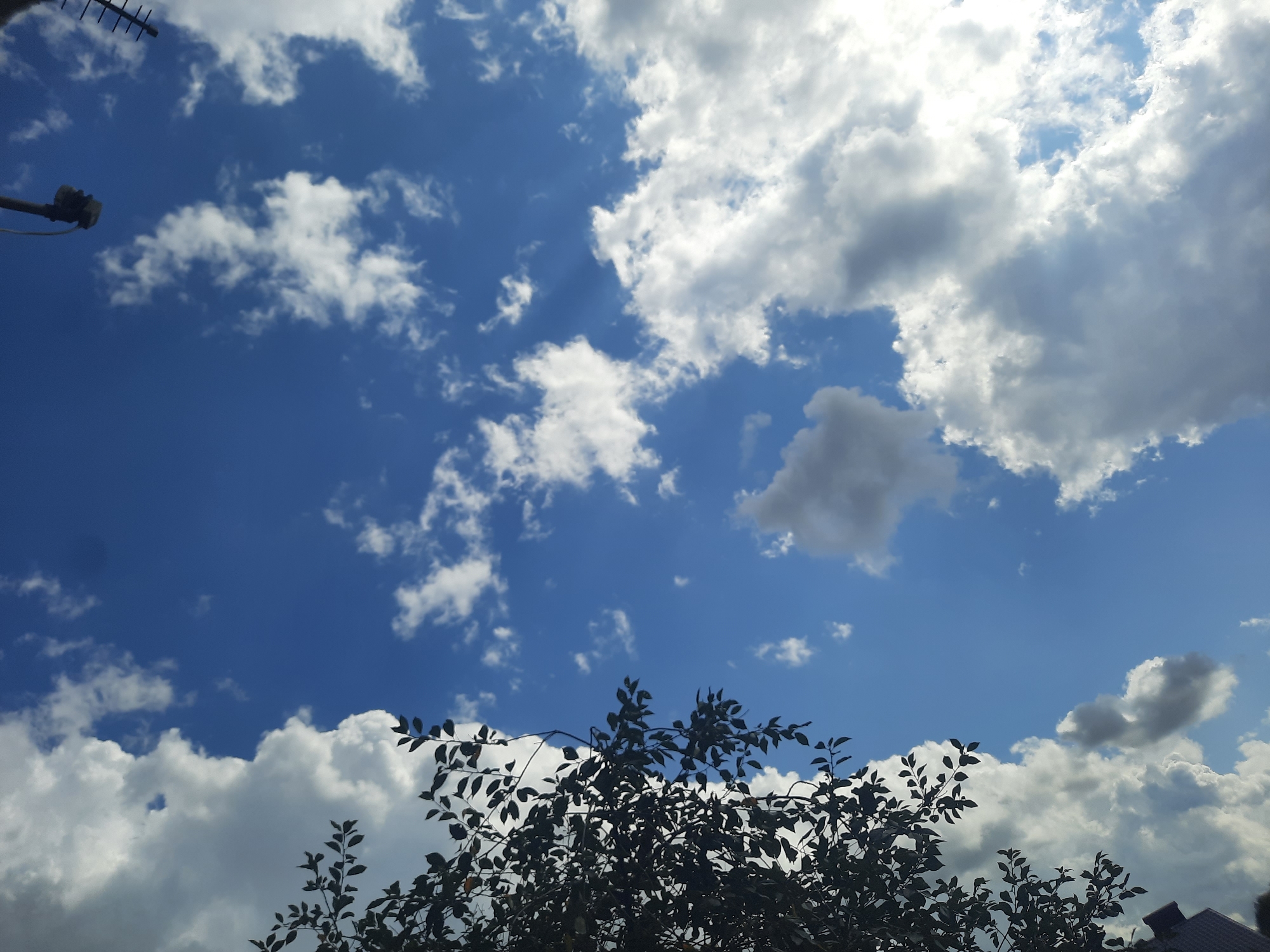 The image shows a view looking up at a bright blue sky filled with scattered white and gray clouds. On the left side of the frame, the dark silhouette of tree branches and leaves obscures a portion of the sky. In the upper right corner, a dark object, possibly a light fixture or camera, is visible against the sky. The composition suggests an outdoor scene in a city, with the tree and overhead fixtures hinting at an urban environment. The bright sunlight illuminating the clouds indicates daytime.
