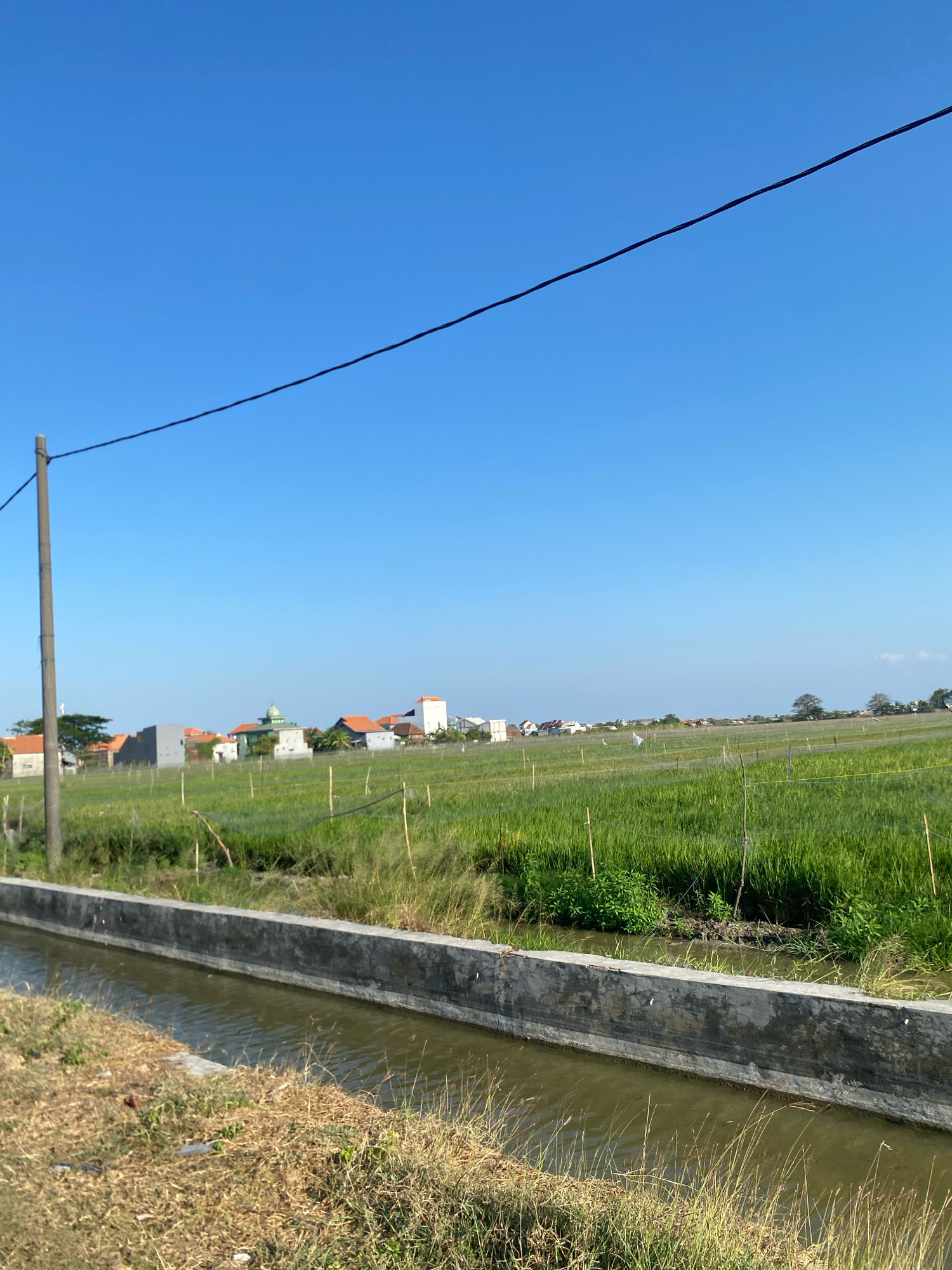 The image shows a rural scene in Gisik Cemandi, Indonesia, on a clear day with a vibrant blue sky. In the foreground, a concrete irrigation canal runs horizontally, filled with murky water. The banks of the canal are lined with dry, brown grass and some green vegetation. To the right of the canal, a lush green rice paddy stretches into the distance, marked by thin wooden stakes and what appears to be netting or fencing. In the middle ground, a row of houses with terracotta roofs and modern structures can be seen, some with white walls and red or grey roofs, interspersed with trees. A distinctive green-domed building, possibly a mosque, is visible among the houses. A tall, grey utility pole stands on the left side of the frame, with a black wire extending diagonally across the upper portion of the image. The overall impression is one of a tranquil, agricultural landscape under a bright, sunny sky.