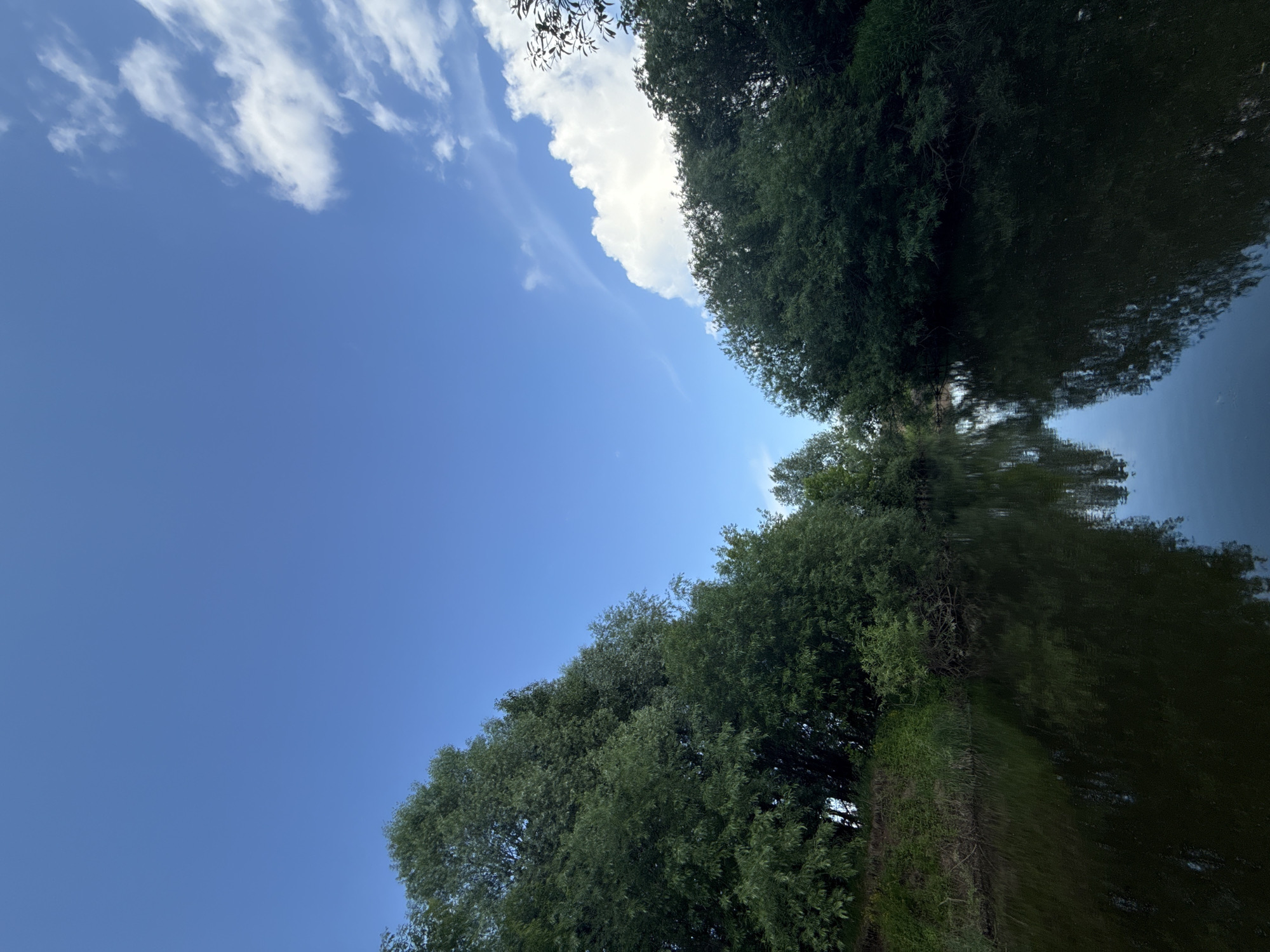 The image depicts a tranquil natural scene, likely a river or a wide stream, bordered by lush green trees on both banks. The water's surface is dark and reflective, mirroring the dense foliage and the vast blue sky above. Patches of white clouds are scattered across the sky, adding depth and texture. The overall impression is one of serenity and natural beauty. The location is identified as Kondratovo, Russia, suggesting a rural or semi-rural setting characterized by waterways and abundant vegetation. No people or man-made structures are visible in the frame, emphasizing the untouched, natural state of the environment.