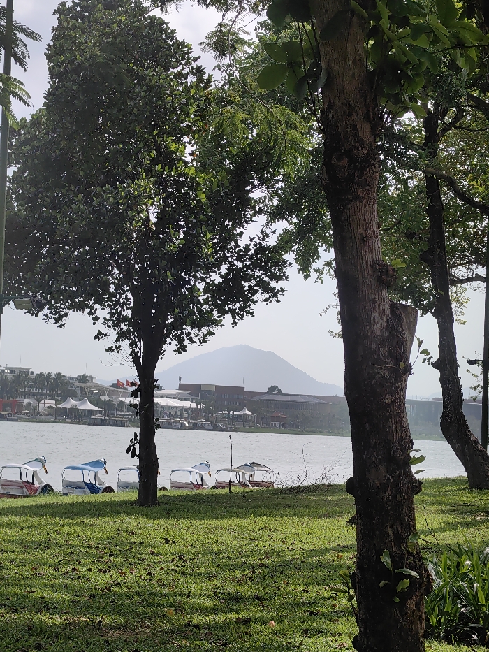 The scene depicts a park area beside a body of water in Thuận Hóa Ward, Vietnam, under a hazy sky. In the foreground, green grass covers the ground, partially shadowed by the foliage of several mature trees. A thick-trunked tree stands prominently on the right, with another thinner tree positioned towards the left. Along the grassy bank leading to the water in the midground, a line of at least six pedal boats is beached. These boats feature white exteriors with various colored tops or accents, including blue and red, and appear to be swan- or duck-shaped. Across the body of water, various buildings are visible, including structures with distinct white, pointed tent-like roofs and larger, multi-story buildings, one of which displays a Vietnamese flag. A large, indistinct mountain range forms the distant background, partially obscured by atmospheric haze. No individuals are visible within the frame.