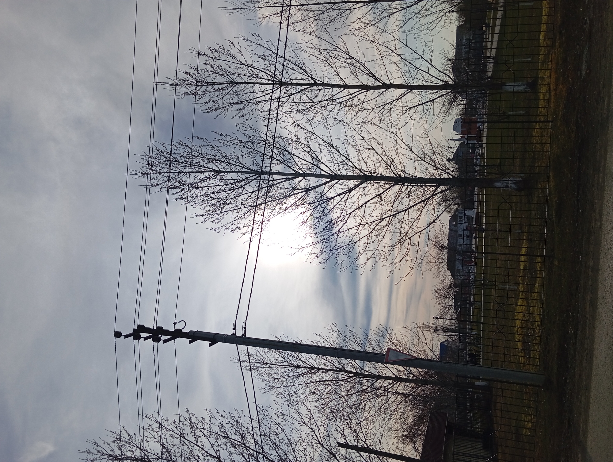 The image depicts an outdoor scene in the city of Yurgamysh, Russia. The sky is overcast with high clouds, and the sun is obscured behind the clouds. There are several leafless trees, their branches silhouetted against the sky. A utility pole stands in the foreground with power lines strung across the top of the frame. The utility pole has a traffic sign affixed to it. A metal fence runs parallel to the road or path. In the background, buildings are visible. A grass area and possibly some vegetation are visible behind the fence. The image appears to be taken at ground level.
