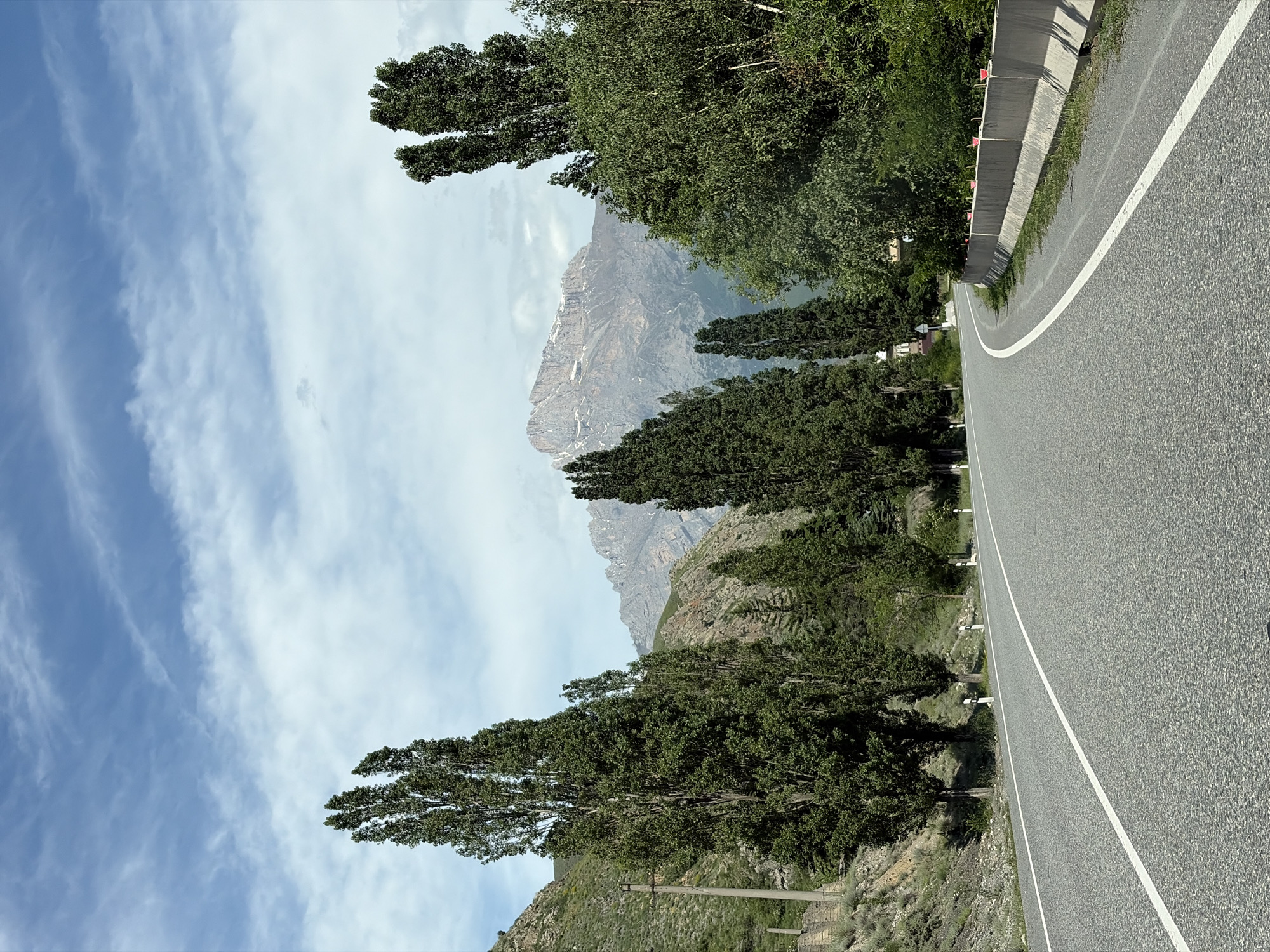 The image depicts a winding asphalt road in the mountainous terrain near Mizur, Russia. Tall, slender trees line the left side of the road, with a steep, vegetated mountainside behind them. On the right side of the road, a concrete barrier separates the roadway from dense foliage and more trees. In the background, imposing, rugged mountains with patches of snow rise against a sky with scattered white clouds. The road itself is grey asphalt with clear white lane markings. There are no people or vehicles visible in the scene. The overall impression is one of a scenic, remote mountain road.