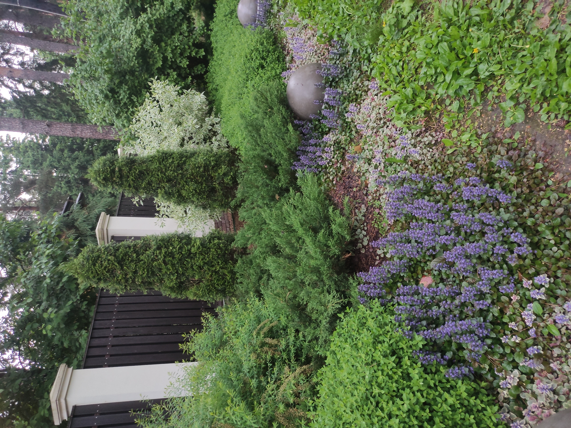 The image shows a section of a garden landscape. There are multiple plants and bushes. The plants are various shades of green, with some flowering plants having purple blossoms. Two gray spherical decorative objects are placed amidst the greenery. A dark wooden fence with white posts runs along the edge of the garden. The location is near Kratovo, Russia.