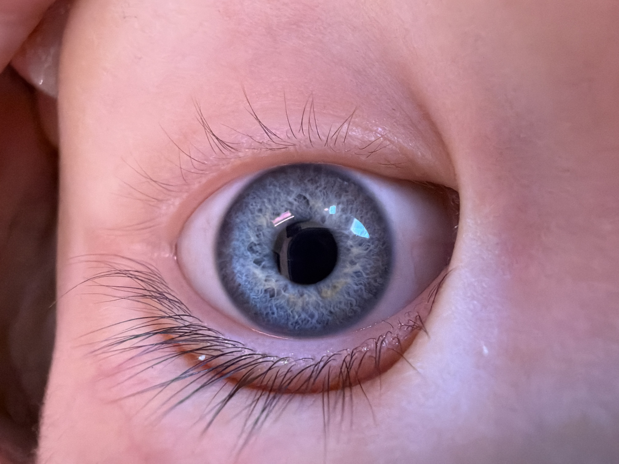 A close-up photograph shows a baby's blue eye with long, dark eyelashes. The iris displays a pattern of blue and yellow hues. A reflection is visible in the pupil. The surrounding skin is light pink. The image appears to be tightly cropped, focusing solely on the eye and immediate area around it. There is no information to determine that the image was taken in the city of Chaikovsky, Russia.