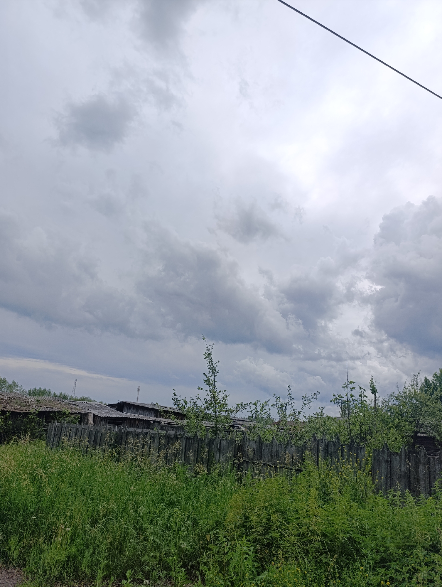 The image depicts an overcast sky with dramatic, grey clouds above a rustic scene. In the foreground, lush green grass and various plants grow tall, partially obscuring a weathered wooden fence made of upright, pointed posts. Behind the fence, several dilapidated wooden structures with damaged roofs are visible, suggesting a rural or abandoned settlement. The overall impression is one of a somewhat somber and neglected environment under a heavy sky, possibly indicative of impending rain. The scene is set in the village of Tugulym, Russia.