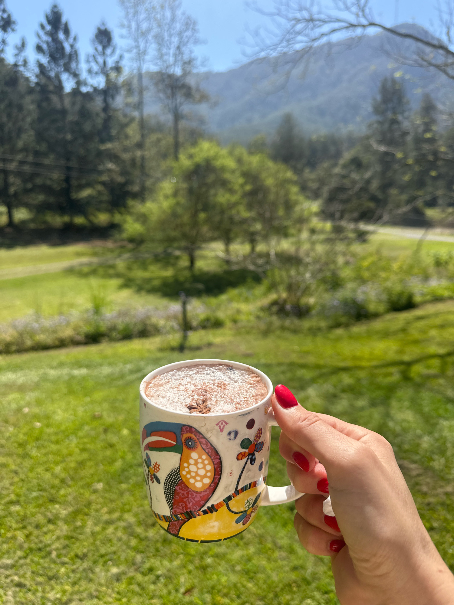 A hand with bright red nail polish holds a mug adorned with a colorful toucan and floral pattern. The mug is filled with a beverage, possibly hot chocolate, topped with powdered sugar. The background features a lush green landscape with rolling hills, trees, and a clear blue sky, suggesting an outdoor setting in a rural area, possibly near Thora, Australia. The image captures a moment of relaxation and enjoyment of a warm drink amidst a scenic natural environment.