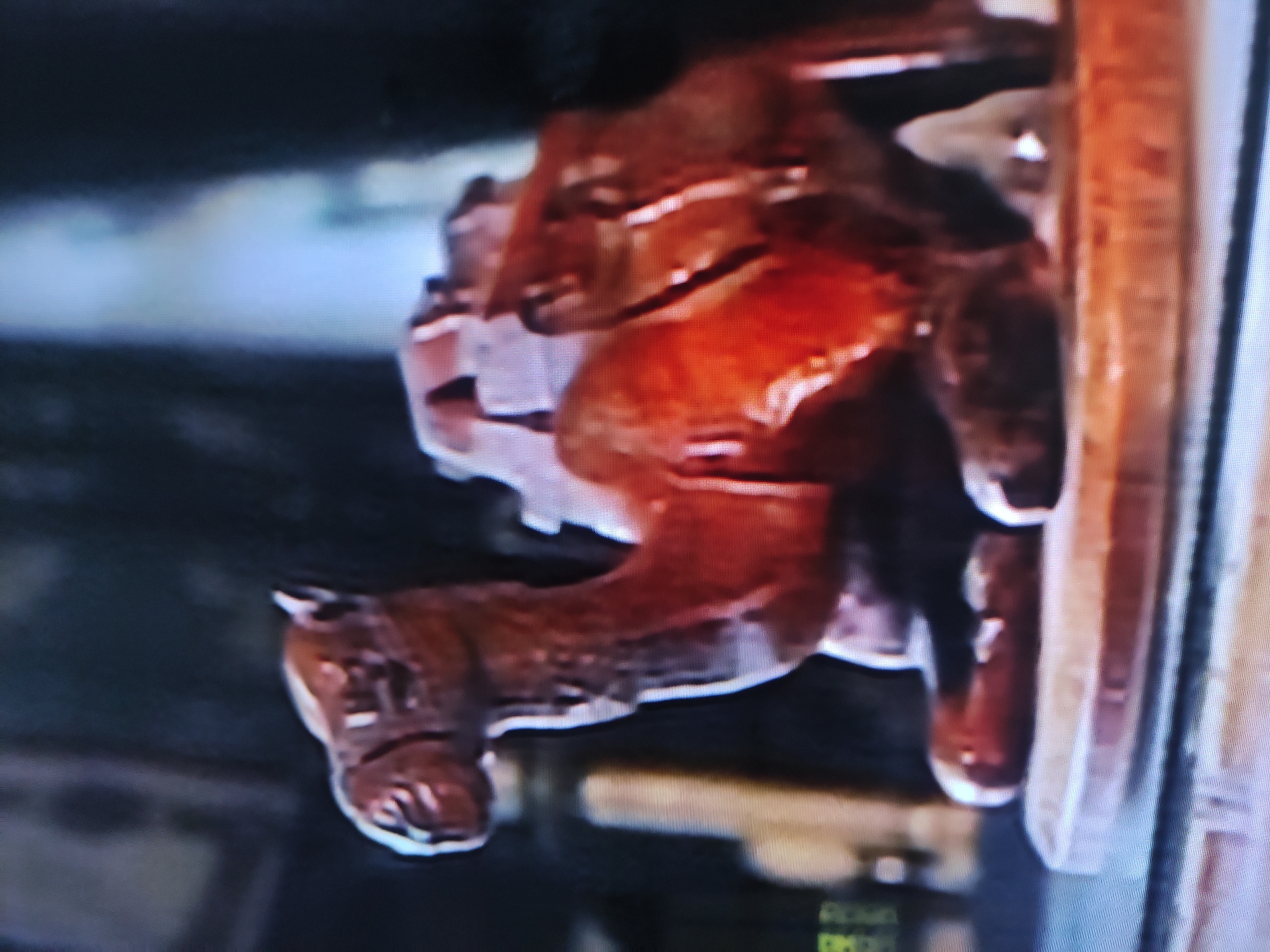 A close-up shows a decorative horse-shaped fixture attached to a wall or structure. The fixture is metallic, possibly bronze or a similar alloy, and has a glossy finish. The lighting creates highlights and shadows that accentuate the horse's form. The surrounding environment is out of focus, with a blurred background. The location in Pavlodar, Kazakhstan, cannot be determined from the image.
