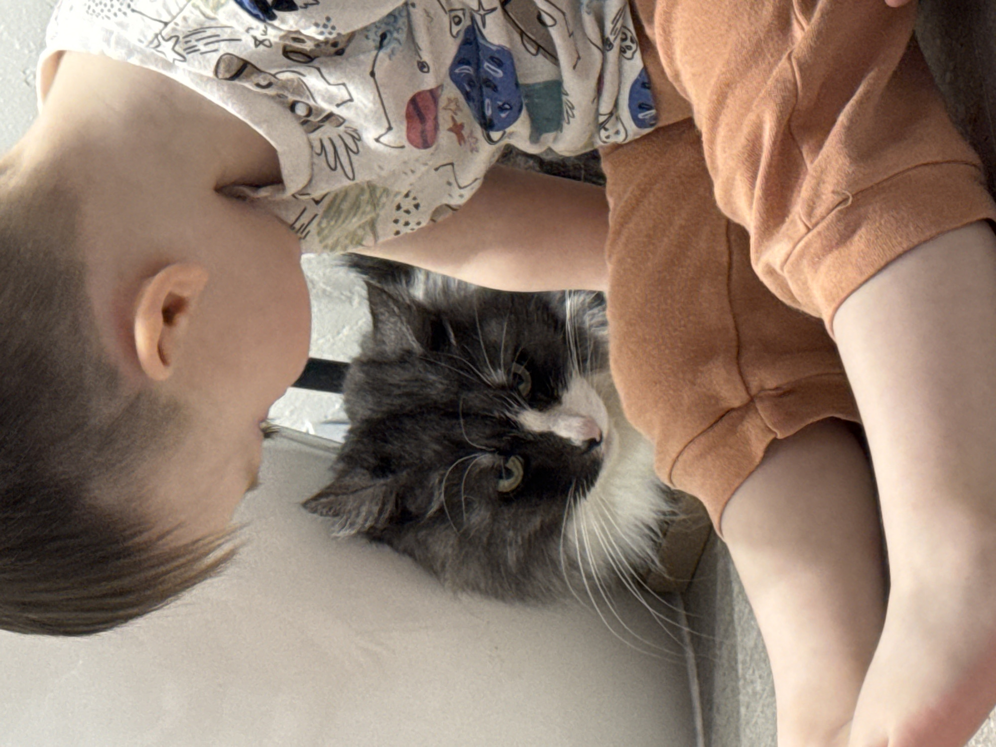 The image captures a close-up, slightly overhead view of a young child interacting with a cat in an indoor setting. The photo is oriented ninety degrees counter-clockwise, with the child's head on the left and their legs on the right, and the cat in the lower center.
The primary subjects are a young child and a fluffy, grey and white cat. The child appears to be a boy, with short, neatly cut hair, and fair skin. He is wearing a light-colored t-shirt adorned with various abstract and whimsical patterns, including outlined faces, stars, and shapes in blue, red, and brown. He also wears orange-brown, comfortable-looking pants, possibly sweatpants. His head is angled downwards, looking towards the cat, suggesting a moment of curiosity or affection.
The cat is a medium to large-sized feline, with distinctive grey fur on its body and head, complemented by white fur on its chest, snout, and around its eyes. It has prominent, long white whiskers and bright green eyes that are looking upwards towards the child. The cat's fur appears soft and dense.
The activity taking place is a tender interaction between the child and the cat. The child is leaning over, possibly observing or petting the cat, which in turn looks up at the child. The scene suggests a quiet, domestic moment.
Notable details include the child's patterned shirt and the cat's striking green eyes and fluffy appearance. The lighting appears bright and natural, indicating it is likely daytime. There is no visible text in the image. The setting is indoors, characteristic of a home environment, with light-colored surfaces in the background. The location context provided is Izhevsk, Russia.