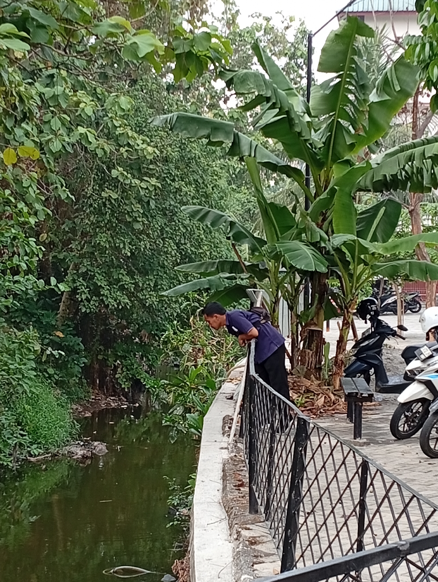 A man in a dark blue t-shirt and black pants is leaning over a black metal railing, looking down into a narrow, dark green body of water. The water appears murky and contains some debris on the left bank. He has a backpack slung over his right shoulder. Behind him, there are several large banana trees with broad green leaves. To the right of the banana trees, a black motorcycle with a black helmet on the seat and two white scooters are parked on a paved area. The scene is set outdoors with dense green foliage surrounding the area. The location is identified as Kelapa Dua, Indonesia.