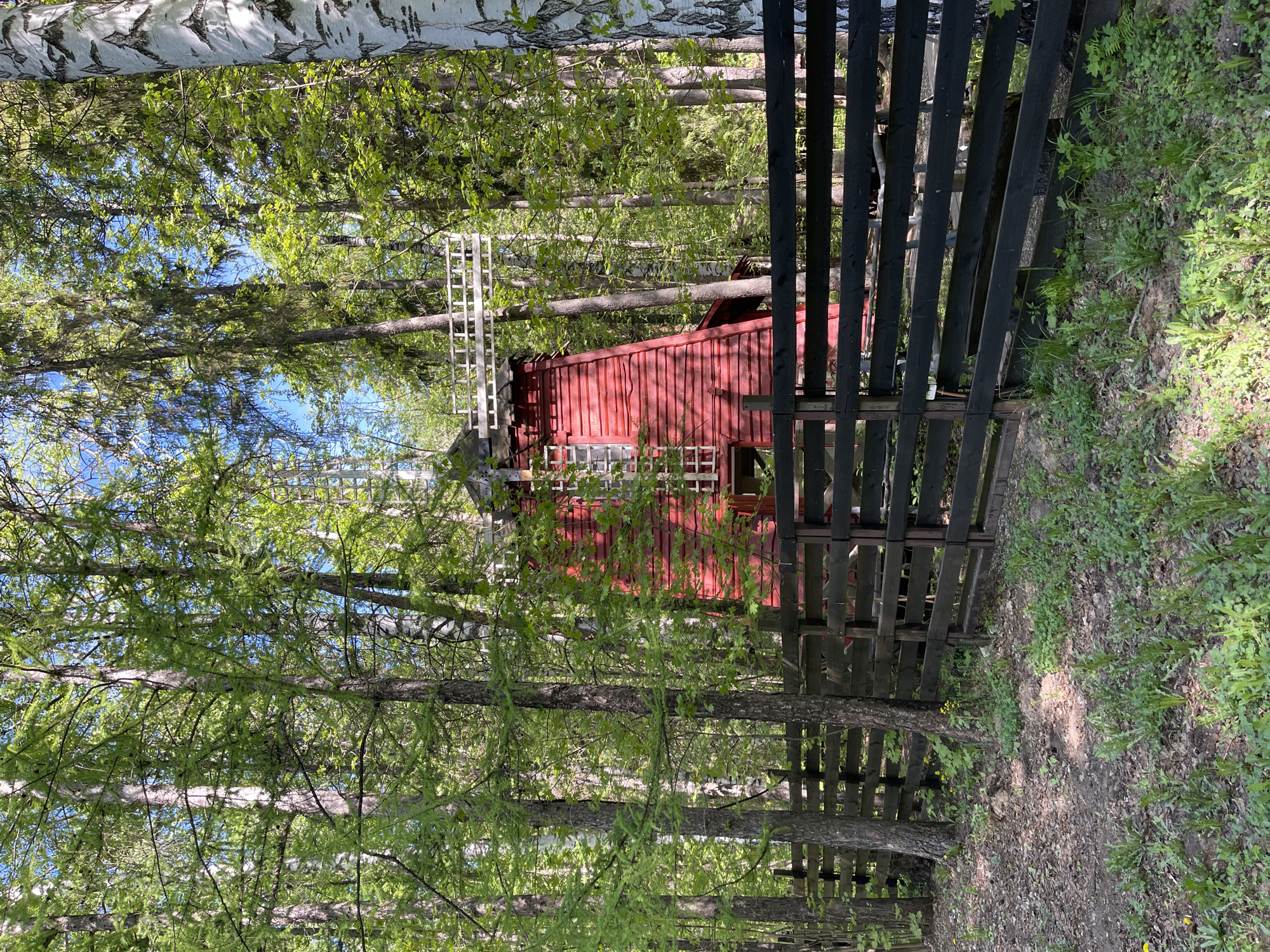 The image presents a red windmill-like structure situated behind a dark wooden fence, partially obscured by trees. The setting appears to be a wooded area, potentially a park or forest, based on the vegetation and trees in the foreground and background. The specific location is Izhevsk, Russia.