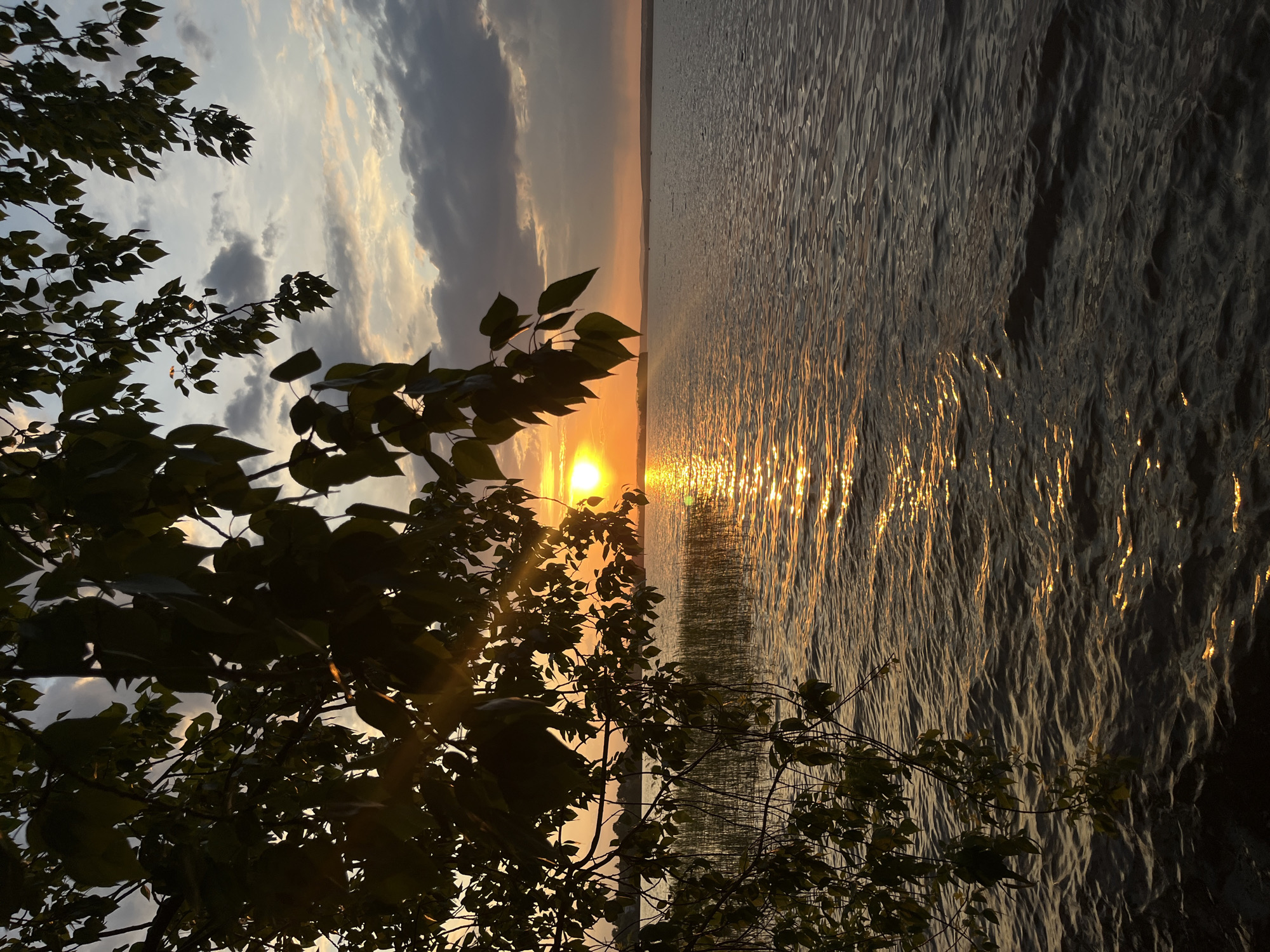A sun setting over a body of water is partially obscured by tree branches. The water reflects the sunlight, appearing golden. The sky is a mix of colors including gold, blue, and gray. The tree branches are in the foreground. It appears the location is near a lake or pond, but there is no evidence to suggest it is in the city of Yekaterinburg, Russia.