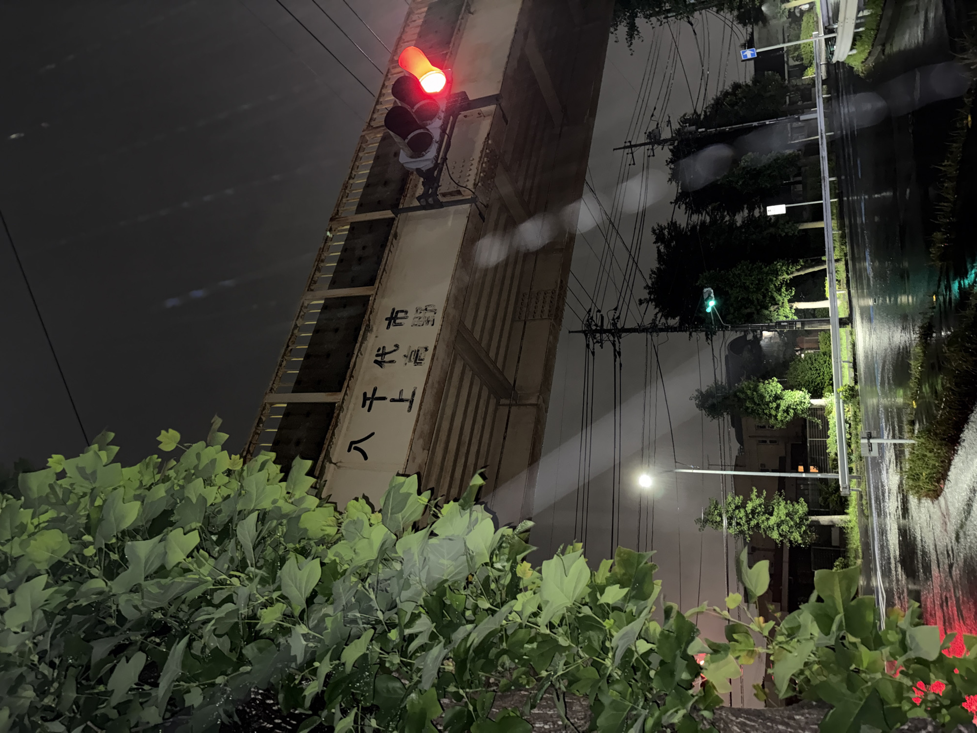 The image depicts a nighttime scene in Yachiyo City, Japan, on a rainy evening. A railway overpass, marked with Japanese characters reading "八千代上", spans the frame. A traffic light hangs from the overpass, displaying a red signal. The wet asphalt road reflects the red light and the green light from another traffic signal further down the road. Lush green foliage, likely from a tree, is prominent in the foreground, partially obscuring the view. Utility poles and wires are visible against the dark sky, and the overall atmosphere is that of a wet, urban environment at night.