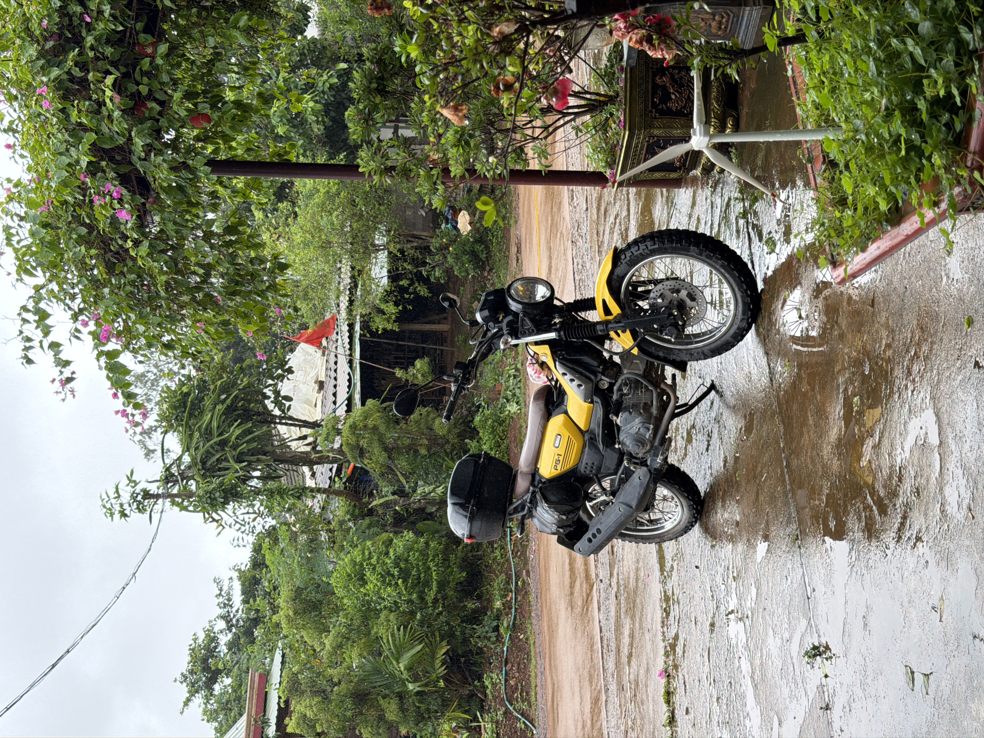 A yellow Yamaha scooter is parked on a wet, paved surface in front of a building with a red flag. The scooter has a black top box and two black saddlebags. Lush green vegetation and trees surround the scene. In the background, there are several structures with corrugated metal roofs. A small white pinwheel stands in a planter to the right of the scooter. The sky is overcast, and the ground appears wet, suggesting it may have recently rained.