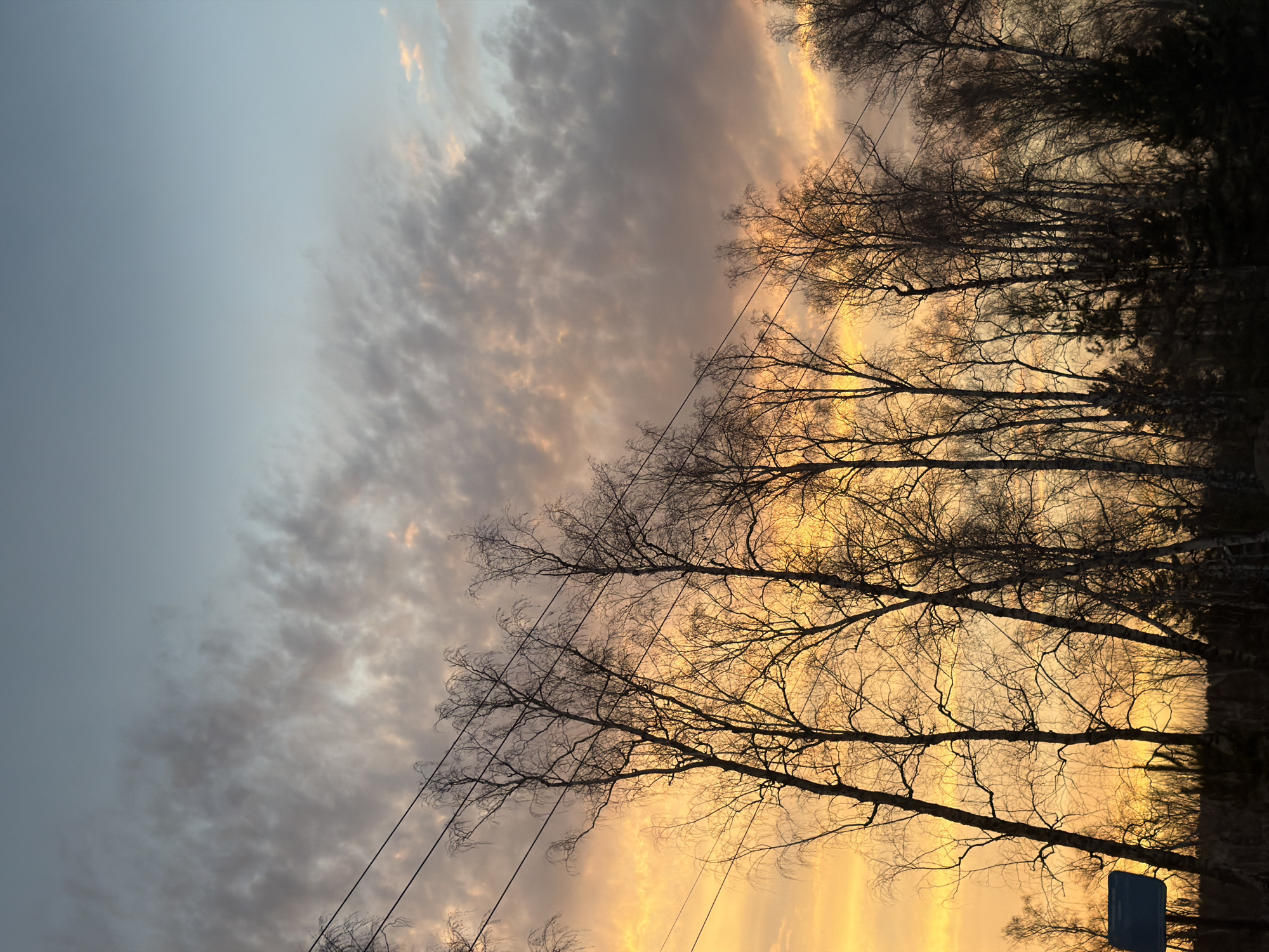 The image shows a sky with a sunset, as seen in Krasnoyarsk, Russia. The sky is a mix of light blue and gray clouds, with a yellow and orange glow from the setting sun. Silhouetted trees with bare branches are visible in the foreground, along with utility lines. A blue sign is barely visible at the bottom right of the image.