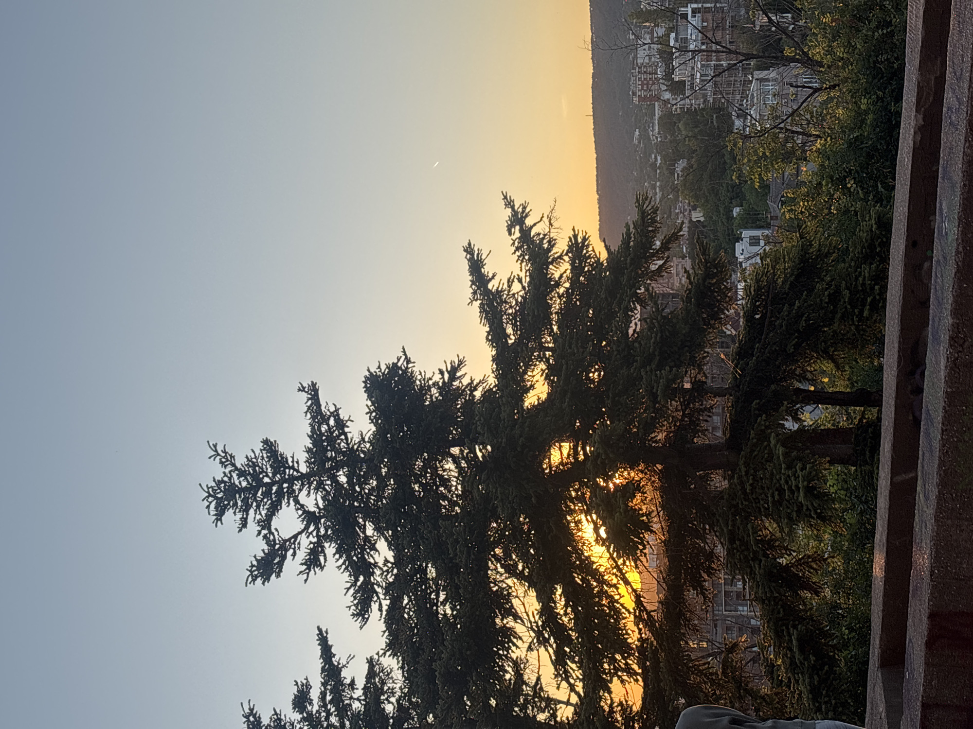 The image depicts a sunset over the city of Varna, Bulgaria, as seen from a higher vantage point, likely a park or viewpoint. The foreground is dominated by the dark silhouettes of several pine trees, their branches dense and partially obscuring the view of the city below. The setting sun, a brilliant orange, is visible through the gaps in the foliage, casting warm light and creating dramatic shadows.
Beyond the trees, the cityscape unfolds. Buildings of varying heights and architectural styles are scattered across a gently sloping hill. Some buildings appear modern with white facades, while others have red-tiled roofs. Construction cranes and scaffolding are visible on some structures, suggesting ongoing development. Lush green trees and vegetation are interspersed with the buildings, softening the urban landscape. The distant horizon is marked by a line of hills or mountains, silhouetted against the fading light.
The sky transitions from a pale blue at the top to a soft yellow and orange near the horizon, indicating the final moments of daylight. A faint contrail is visible in the upper right quadrant of the sky, a subtle human presence in the otherwise natural and urban scene. In the lower left, a person's shoulder and arm, wearing a grey hooded sweatshirt, are partially visible, indicating the presence of an observer. The foreground features a textured, reddish-brown structure, possibly a wall or railing, made of concrete or stone, which appears weathered and worn.